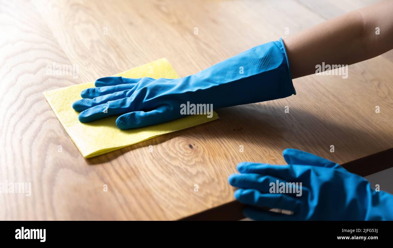 Cleaner, housewife wearing blue rubber gloves, dusting furniture Stock Photo Alamy