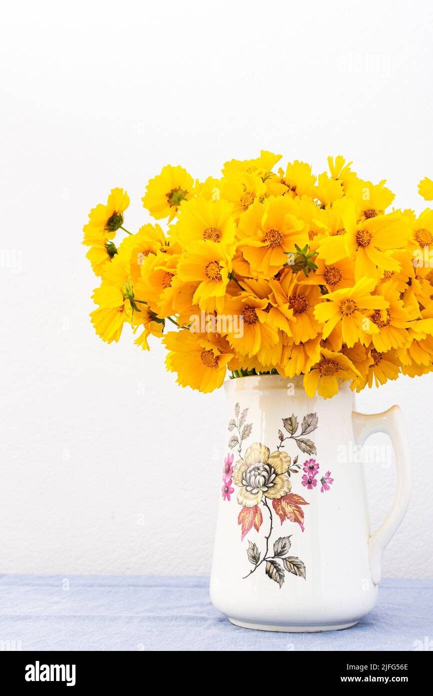 Beautiful summer flowers yellow Chamomile in a vase, part of home interior, Cota tinctoria Stock Photo