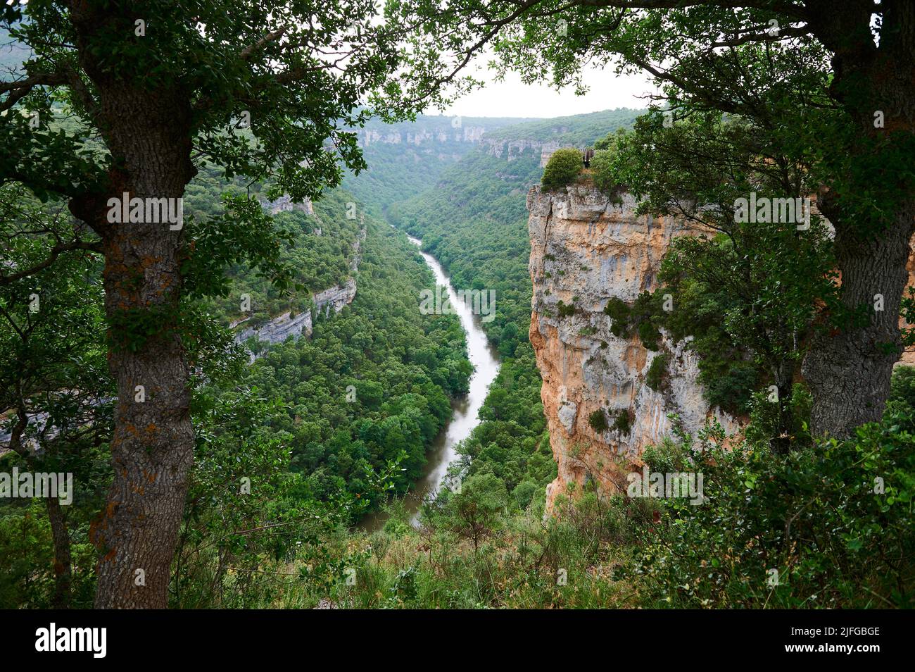 Ebro river seen from the viewpoint near Pesquera de Ebro, Burgos, Spain, Europe Stock Photo