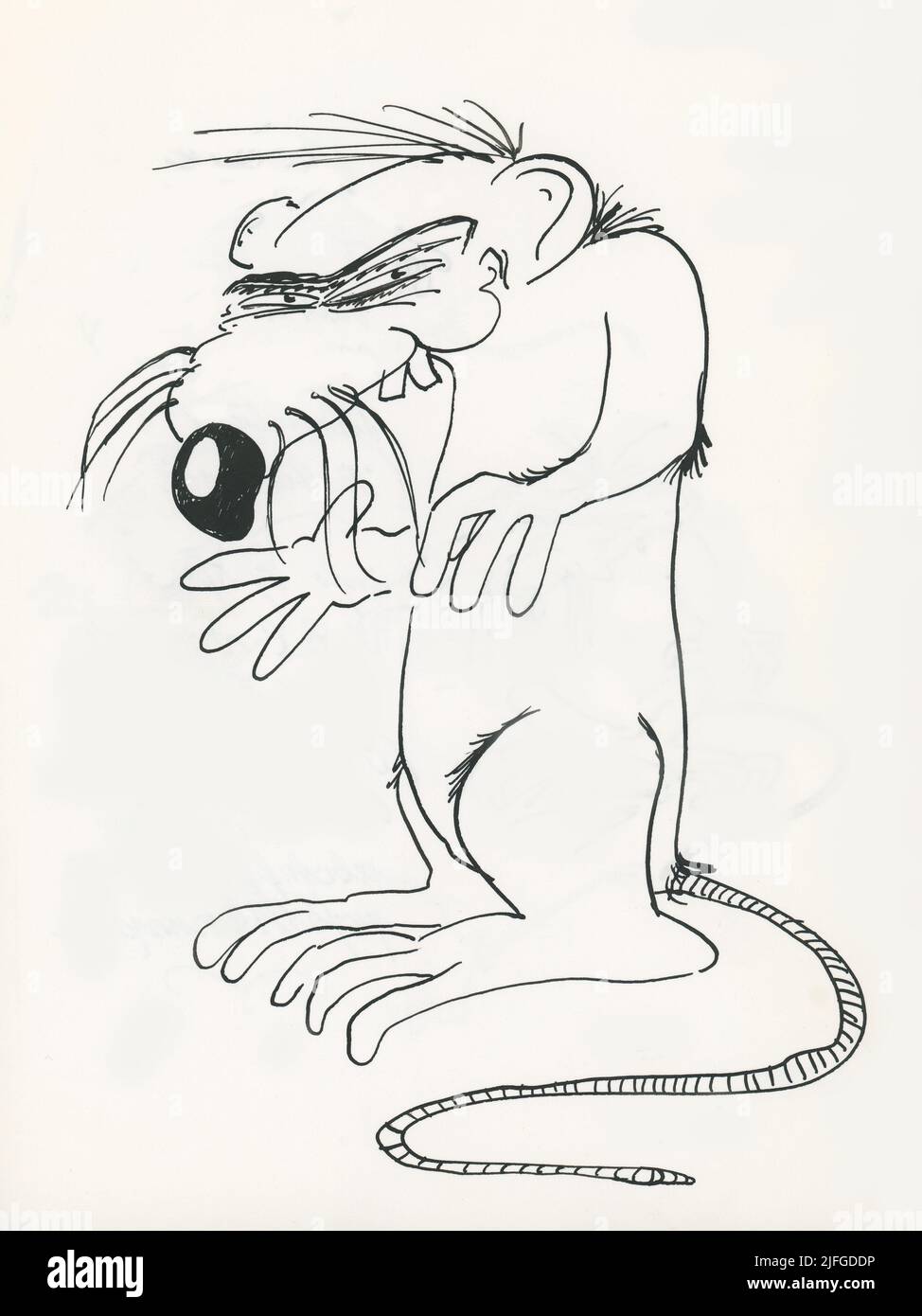 Drawing of not so friendly looking rat. He looks evil and sneaky Stock Photo