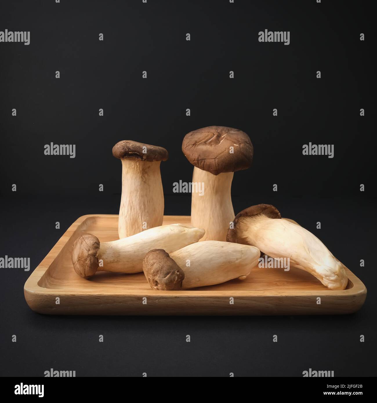 Popular uncooked healthy asian edible King Oyster mushrooms on wooden plate on black background. Asian cuisine. Stock Photo