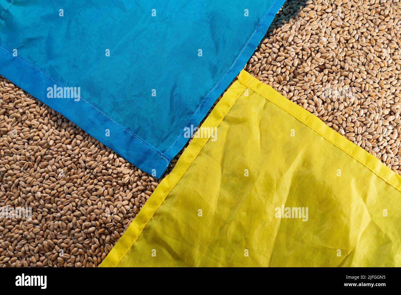 A fresh harvest of wheat in Ukraine. Ukrainian flag on freshly harvested grain. Stock Photo