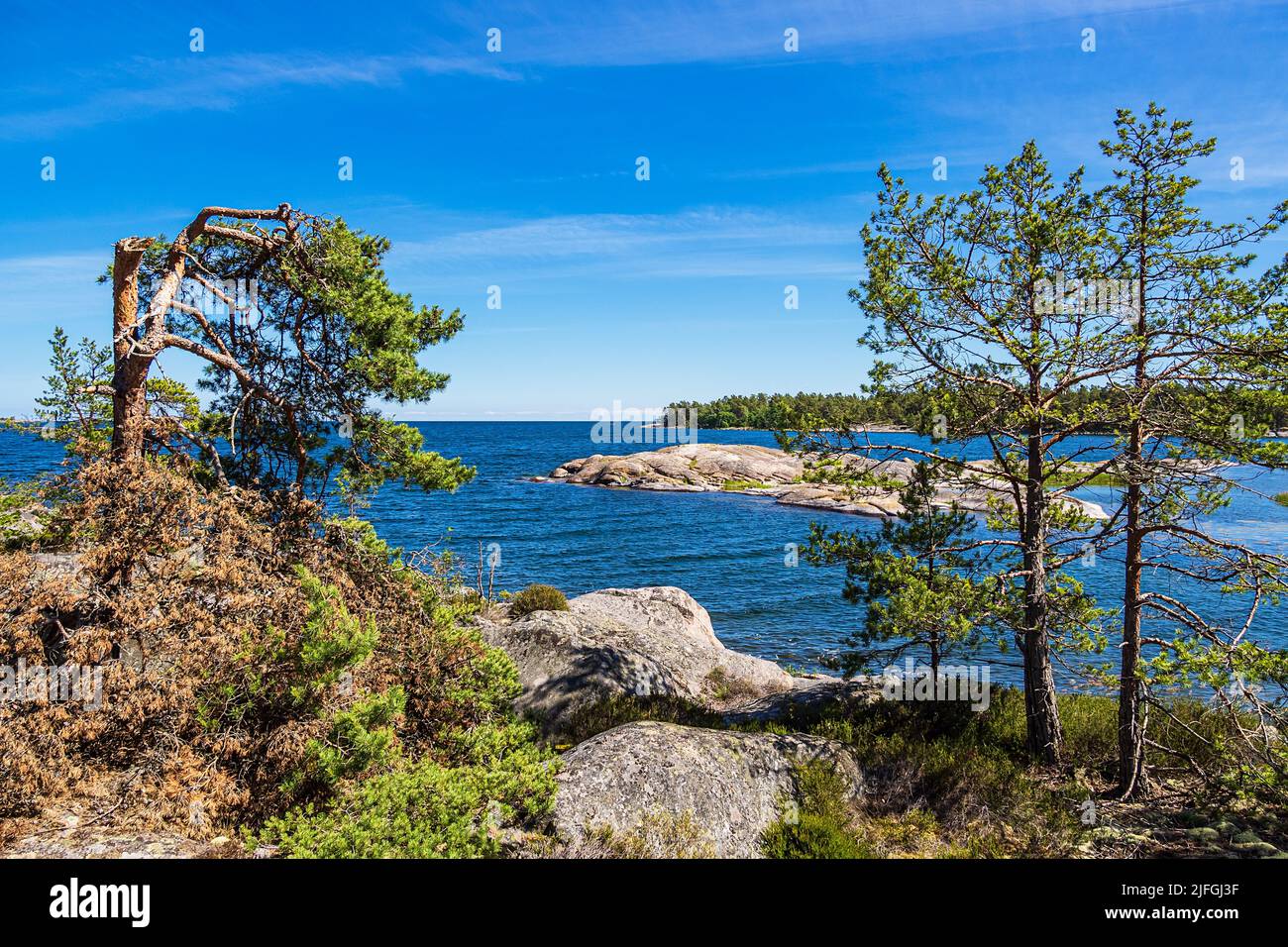 Landscape with rocks and trees on the island Hasselö in Sweden. Stock Photo