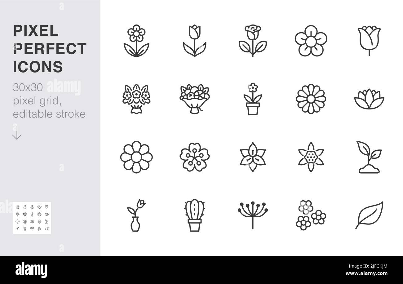 Flower line icon set. Rose, tulip in vase, fruit bouquet, spring blossom, cactus minimal vector illustration Simple outline signs for flowers delivery Stock Vector