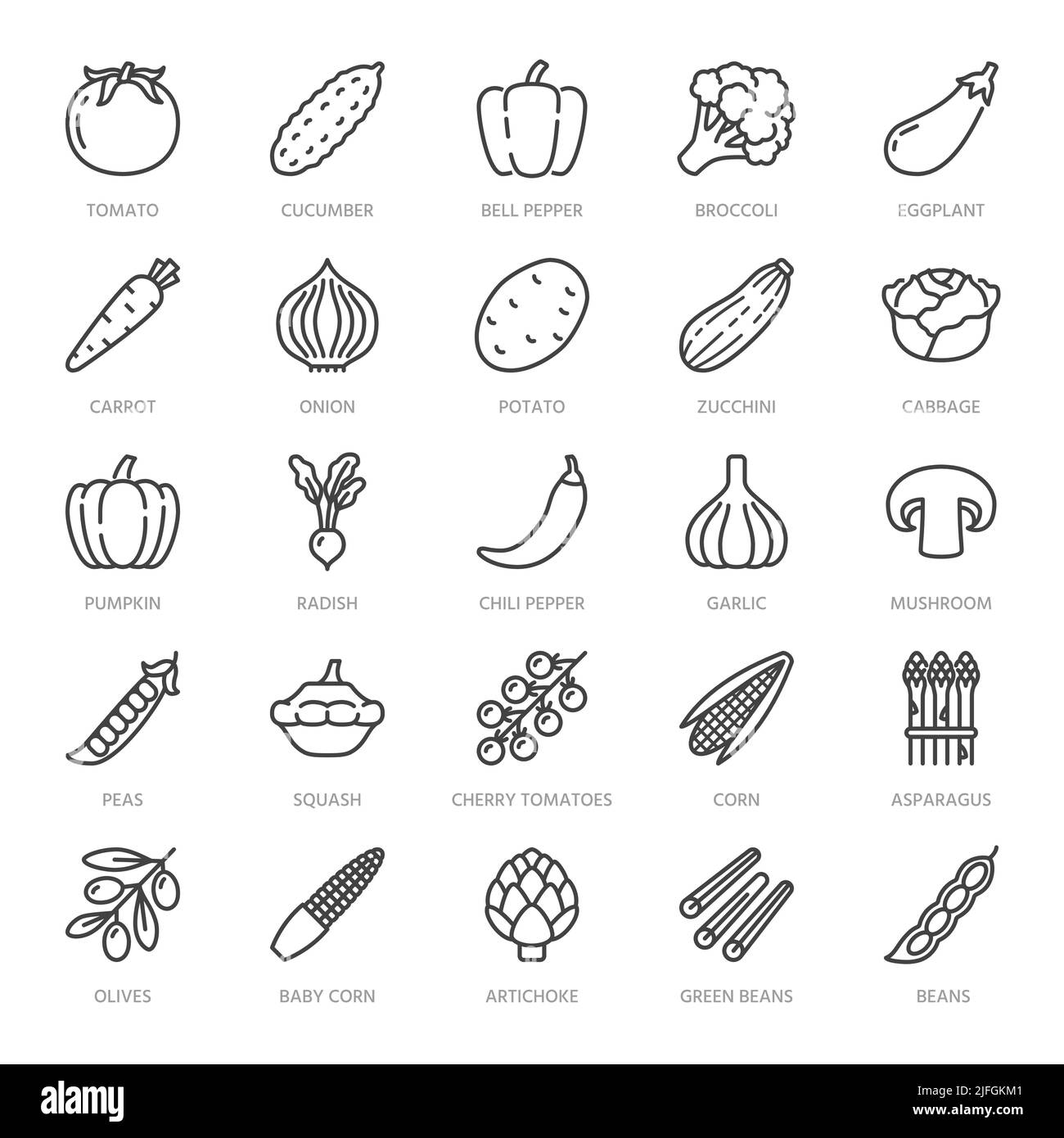 Vegetables flat line icons set. Fresh food - tomato, broccoli, corn, pepper, carrot, pumpkin vector illustrations. Outline pictogram for vegetarian Stock Vector