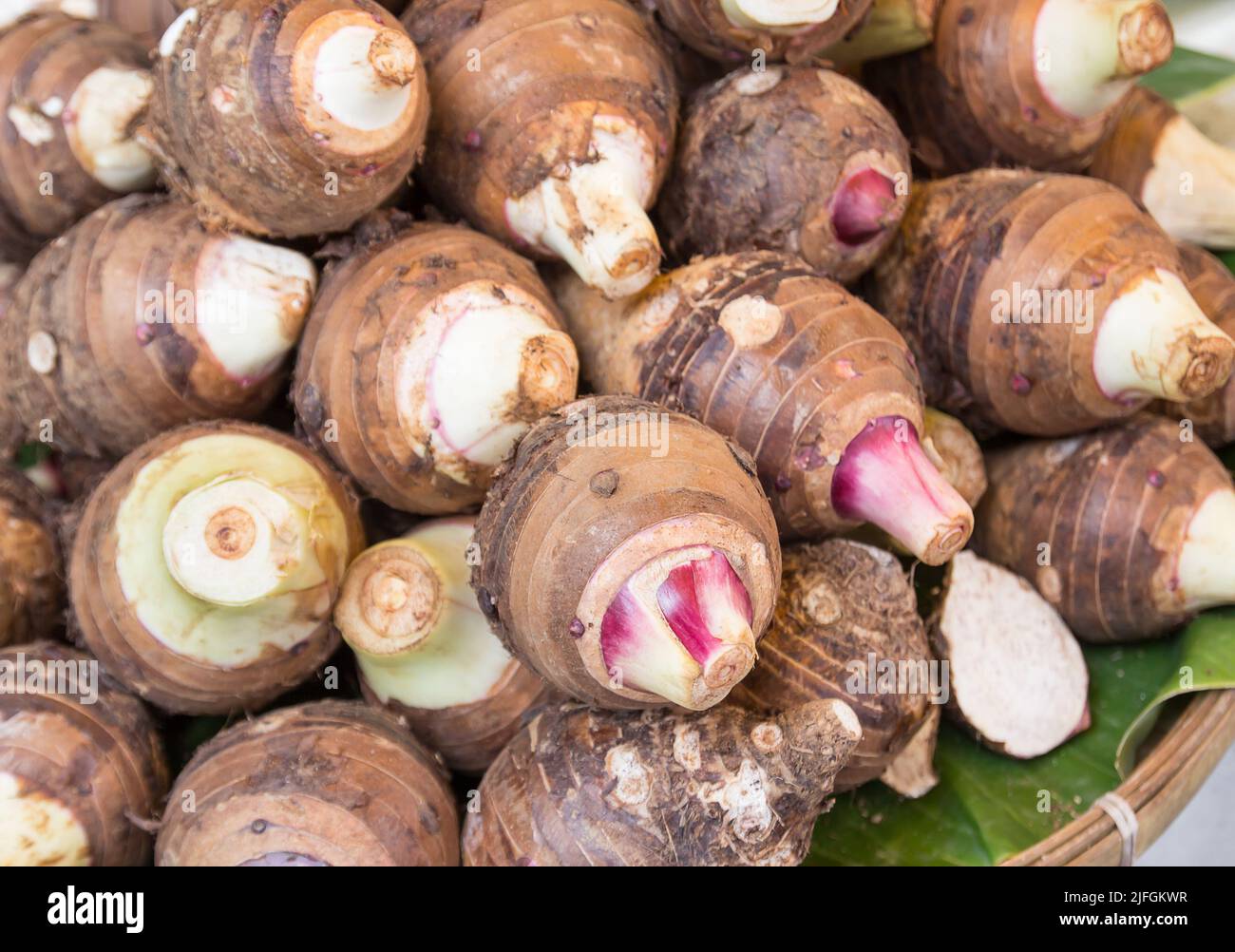 background of pile of fresh organic taro for retail sale in local morning market departmental store Stock Photo