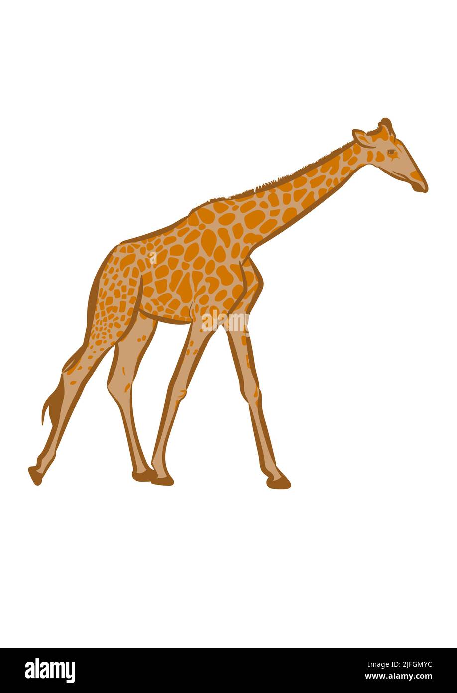 graphics drawing giraffe vector illustration Stock Vector Image & Art