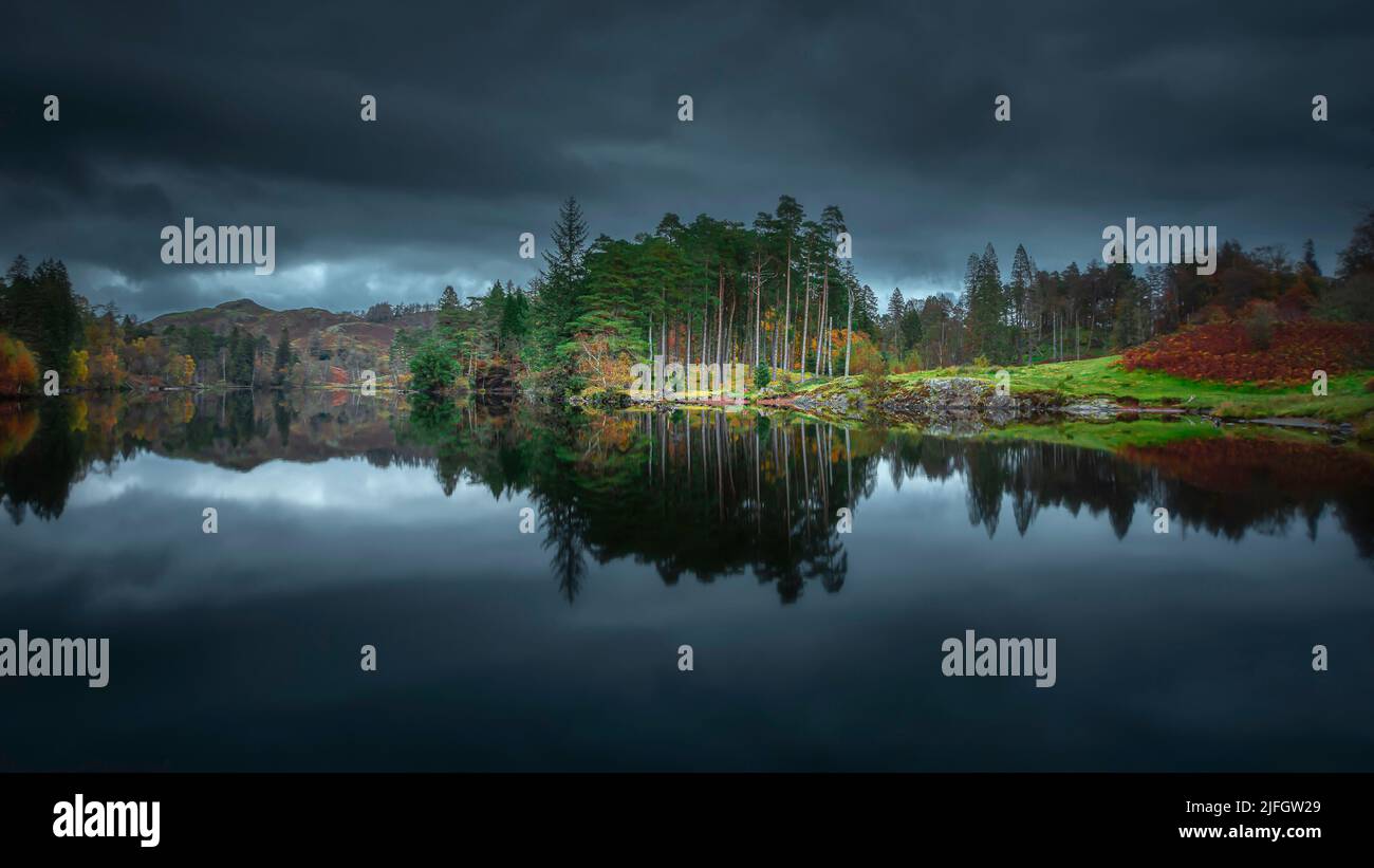 Reflection of trees in calm water of the lake. Dark and moody sky over Tarn Hows in Lake District, Cumbria, UK. Stock Photo