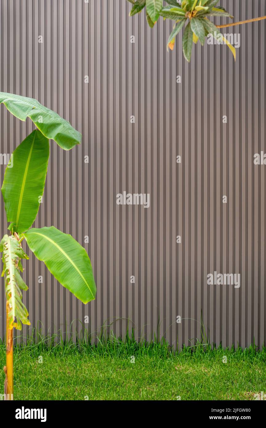 plastic exterior panel cladding wall with green leaves in front Stock Photo