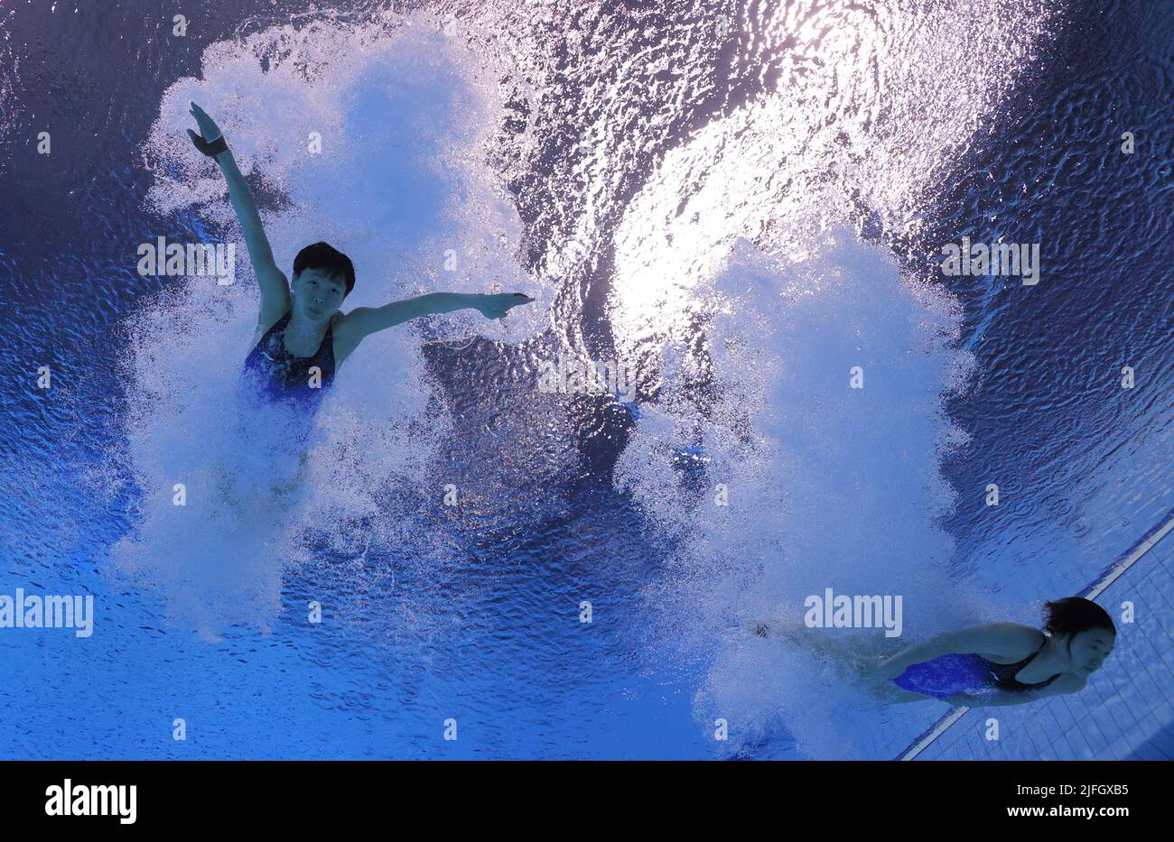 Diving - FINA World Championships - Duna Arena, Budapest, Hungary - July 3, 2022 China's Yiwen Chen and Yani Chang in action during the women's 3m synchronised final REUTERS/Antonio Bronic Stock Photo