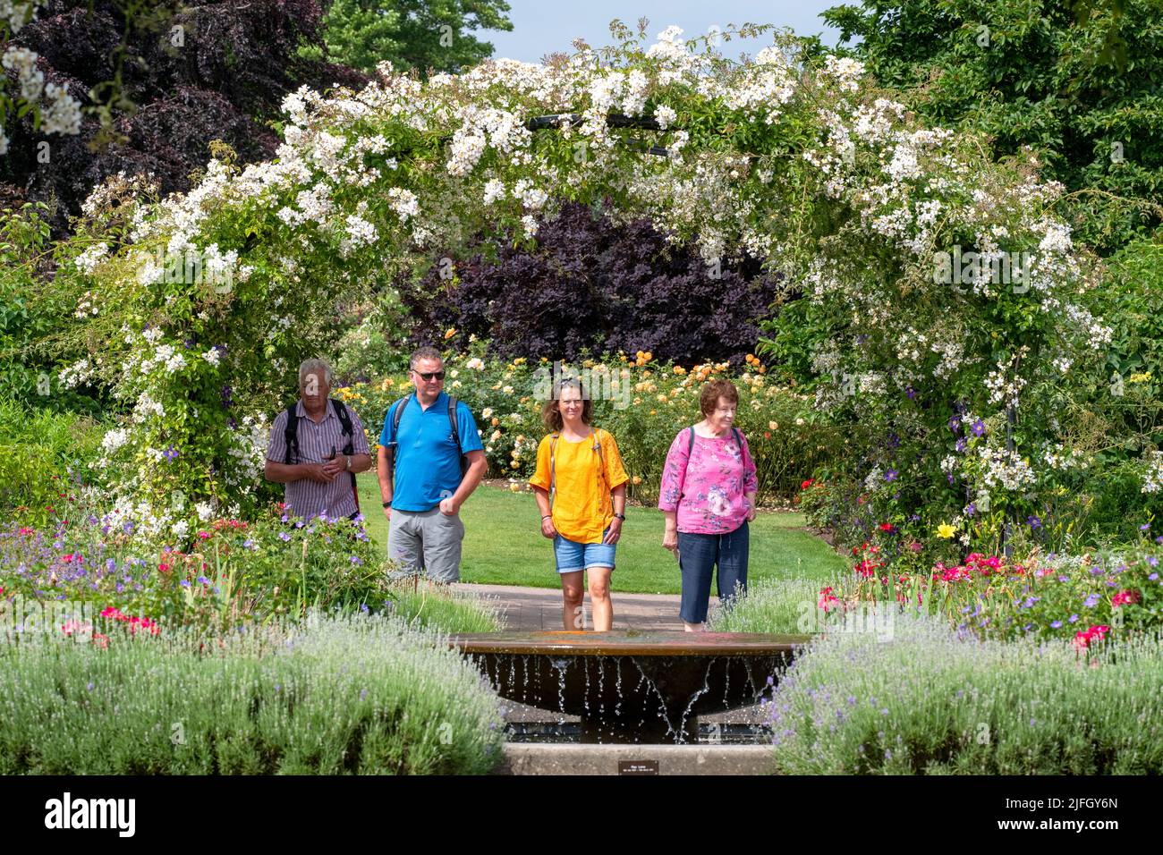 Rosa mulliganii. Visitors in colourful clothes under the rose  archway in the cottage garden at RHS Wisley Gardens, Surrey, England Stock Photo