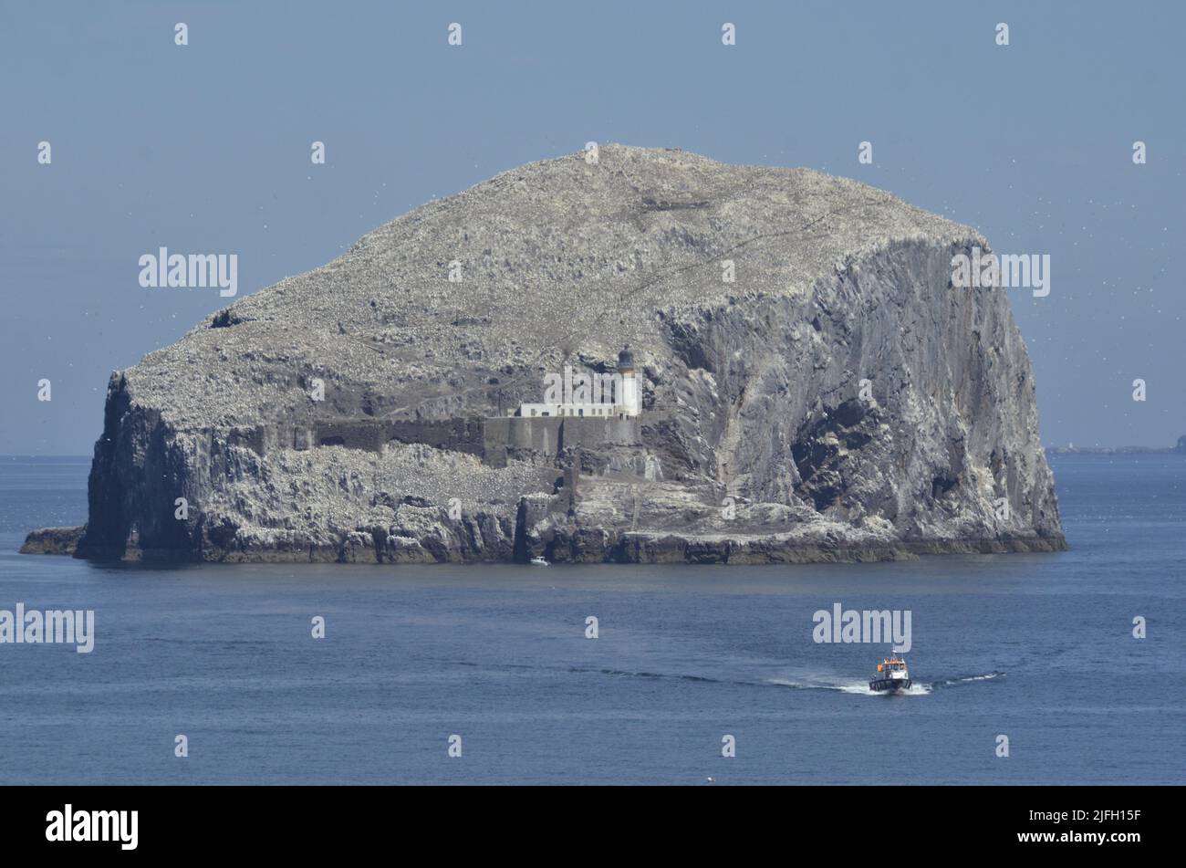 NORTH BERWICK, SCOTLAND, UK - 20 June - 2022 - Same same but different…Bass Rock off the coast of East Lothian looks different due to bird flu. Stock Photo