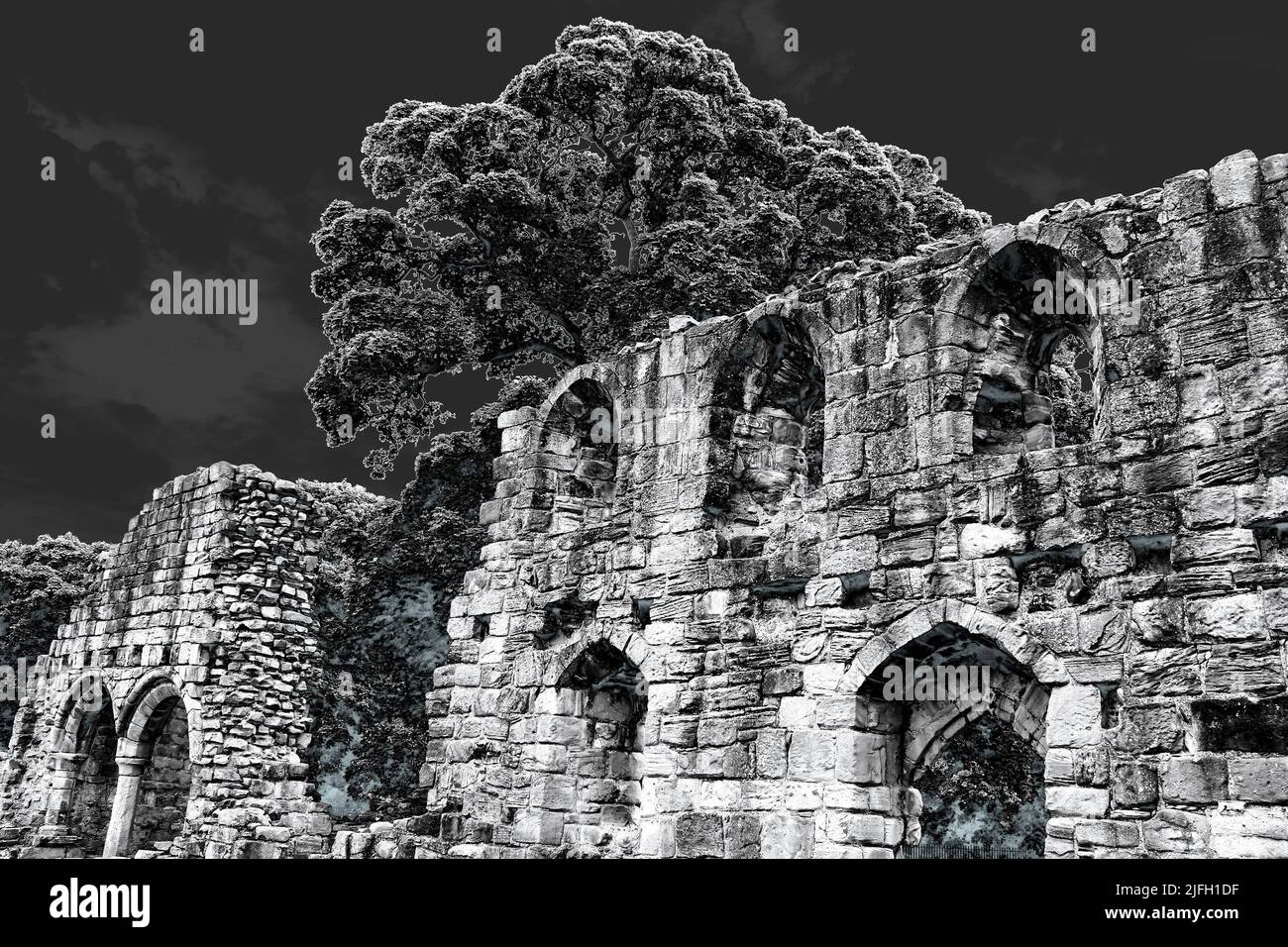 Basingwerk Abbey, Greenfield Valley Heritage Park, Wales Stock Photo