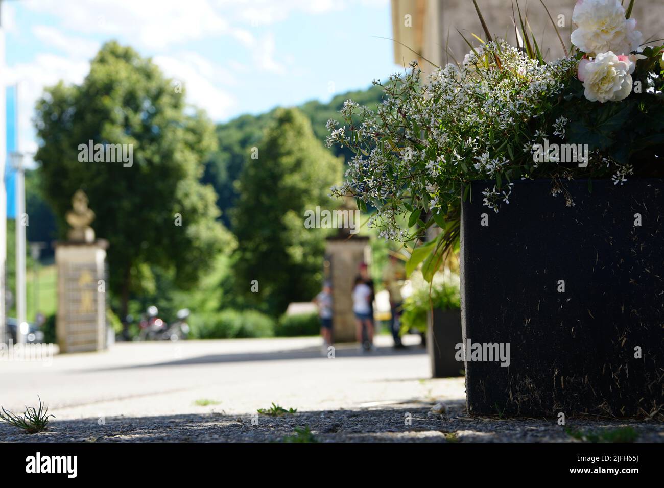 Haupt- und Landgestüt Marbach (Innenhof) Blumendeko Stock Photo