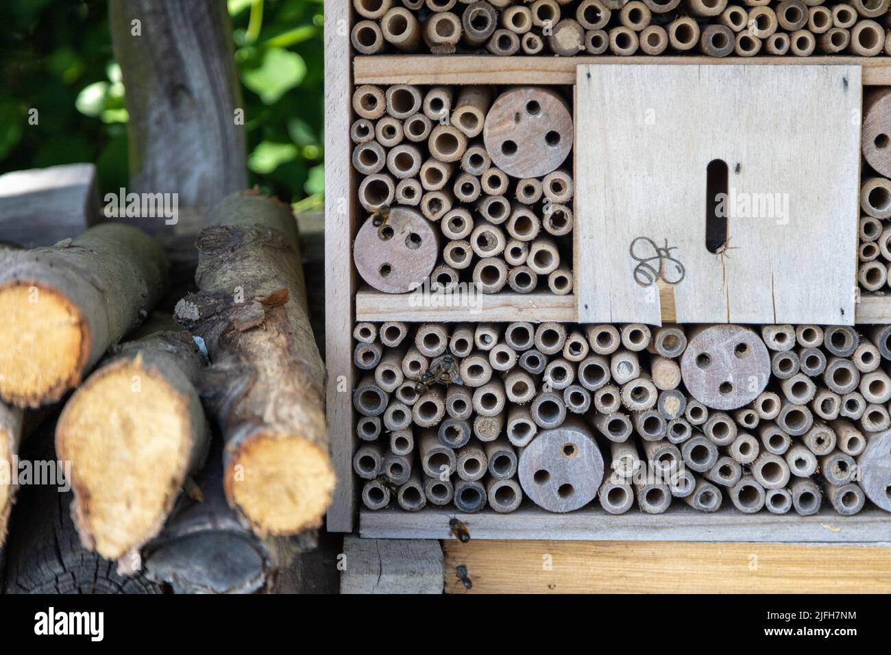 An insect hotel for bees, wasps and other insects made of old wood. Stock Photo