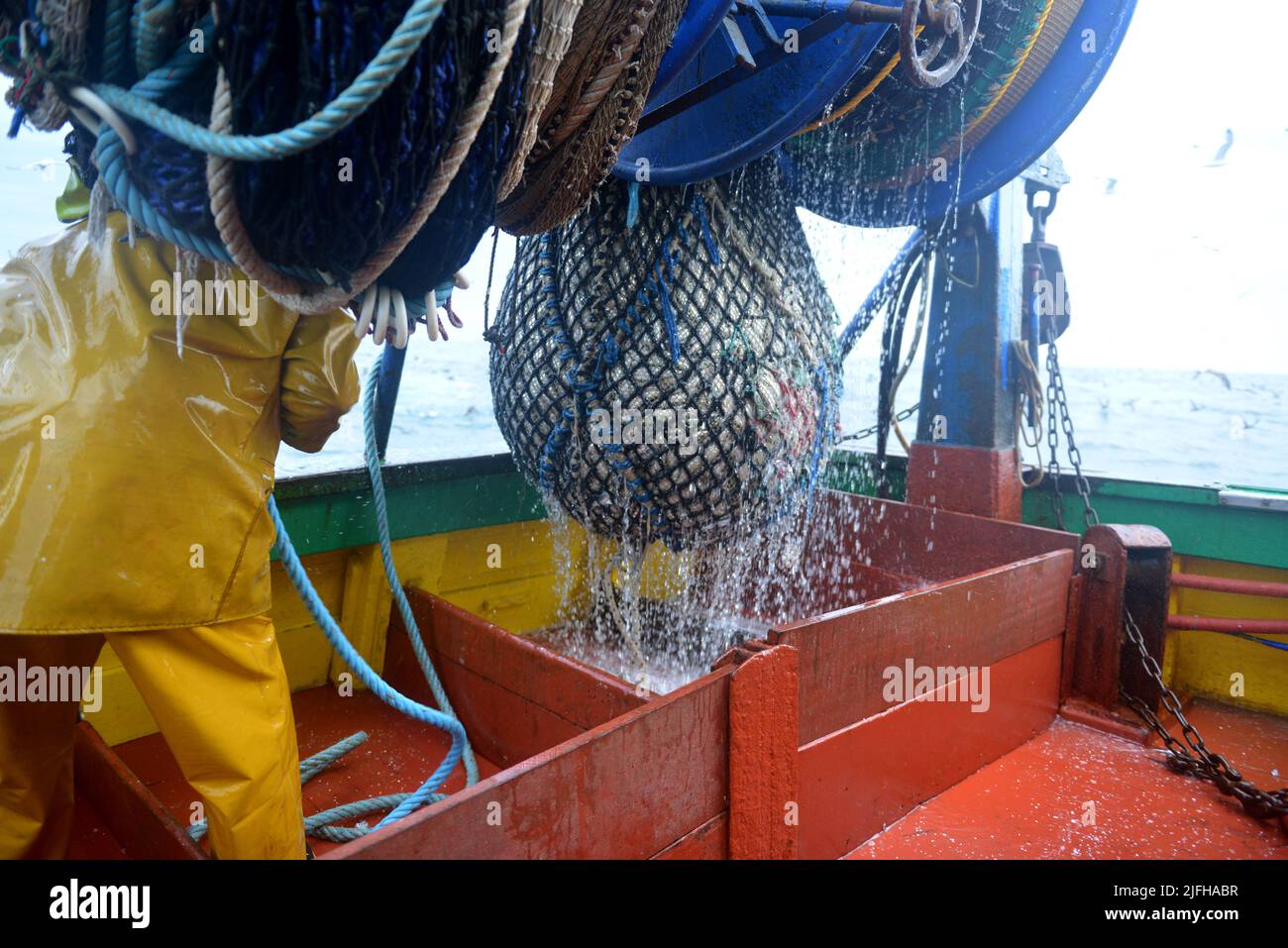 sardine fishing in vendée, france Stock Photo Alamy