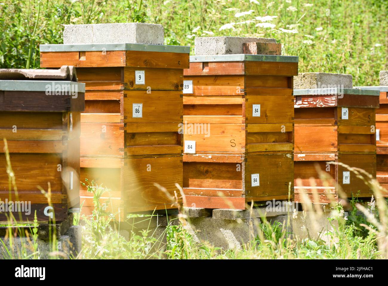 Bee hives on a rural beekeeping farm to produce honey Stock Photo Alamy