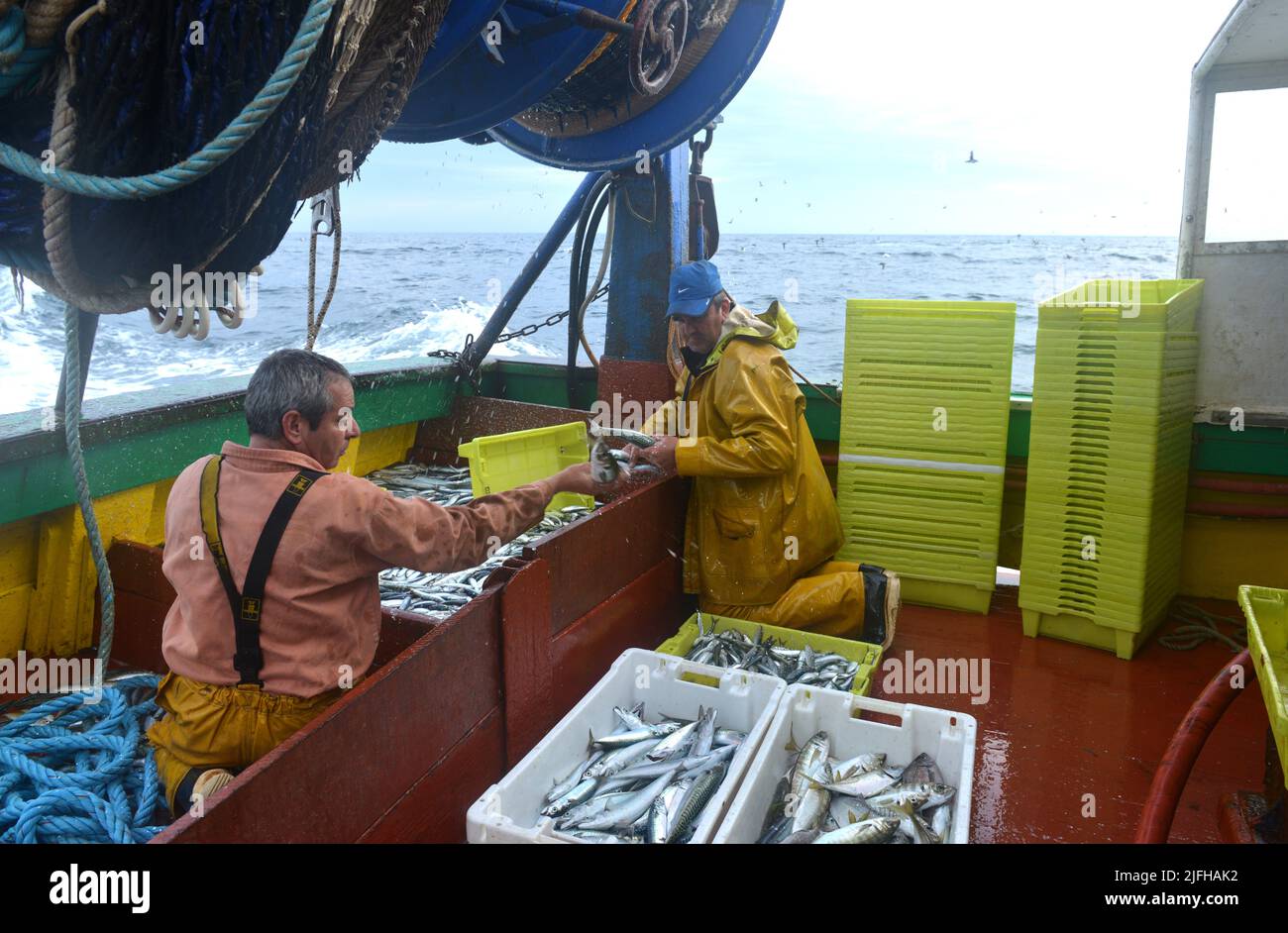 sardine fishing in vendée, france Stock Photo Alamy