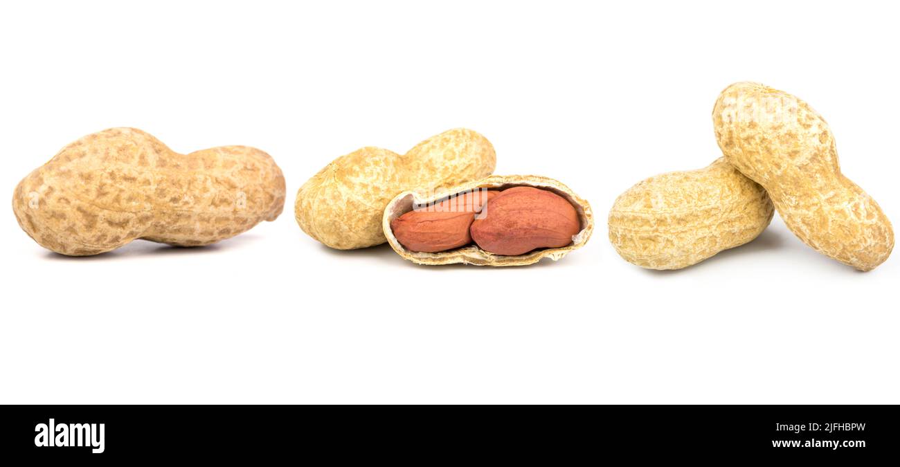 Peanuts. Unpeeled nuts isolated on white background. Collection. Full depth of field. Stock Photo