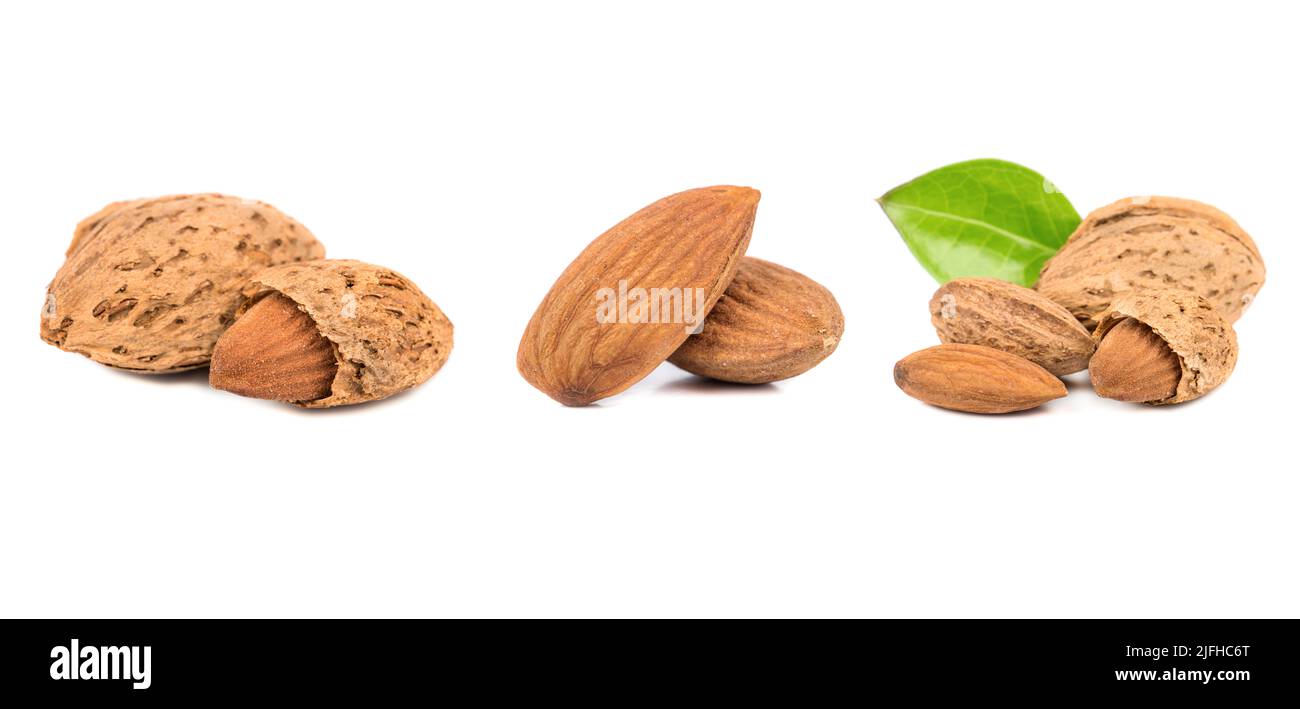 Almond isolated. Nuts on white background. Collection. Clipping path included. Full depth of field. Stock Photo
