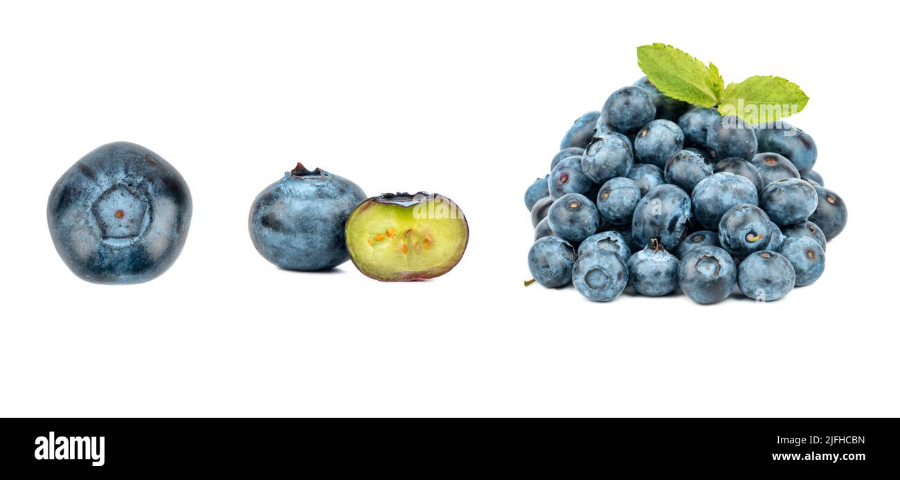 Blueberry berries isolated on white background. Collection. Stock Photo