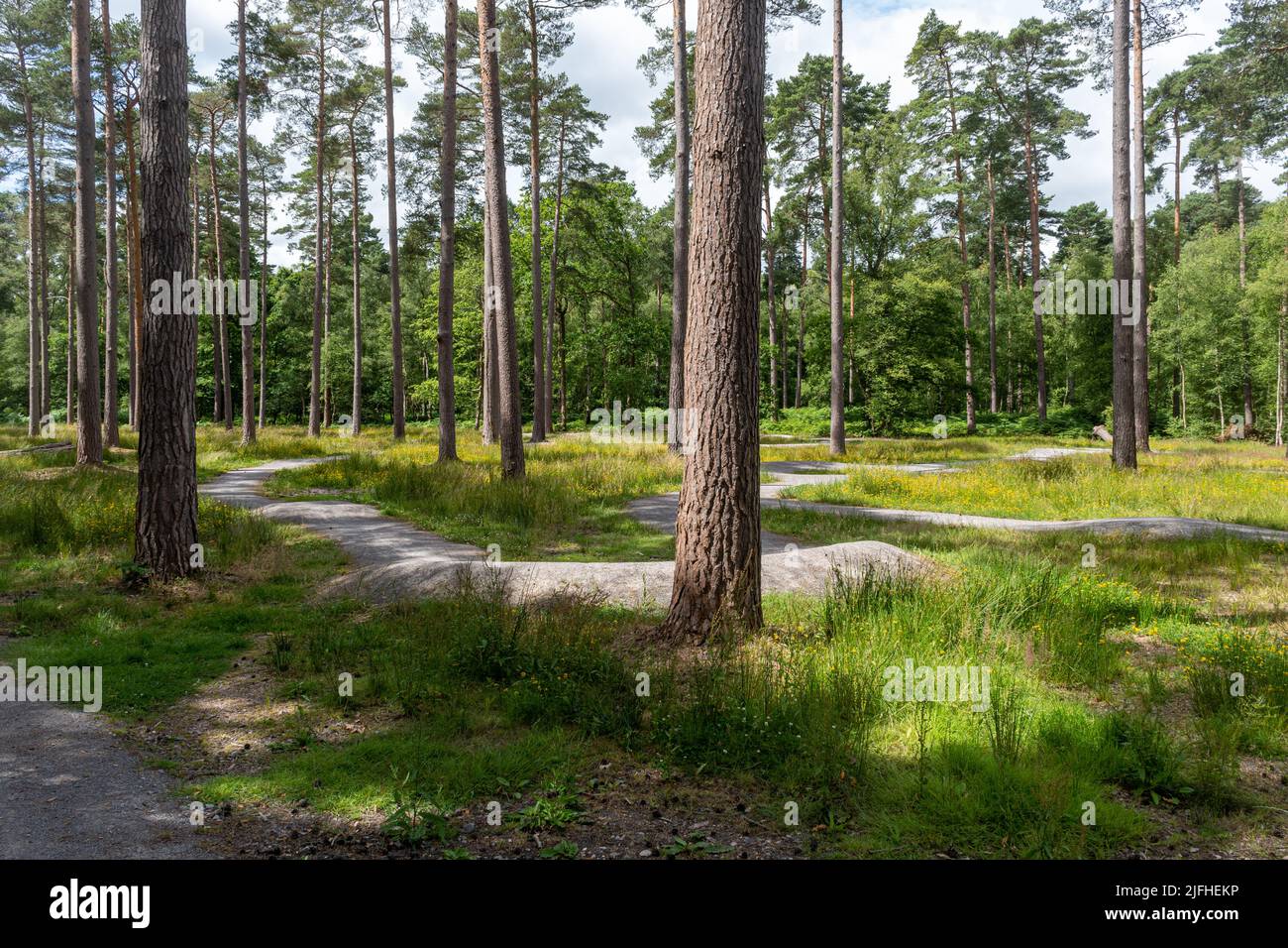 Hartland Country Park near Fleet, Hampshire, England, UK, with a bike