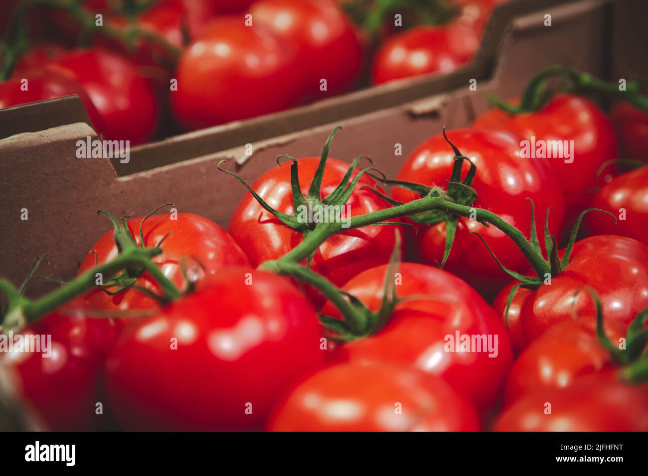 Close-up, tomatoes in a box on the counter. Stock Photo