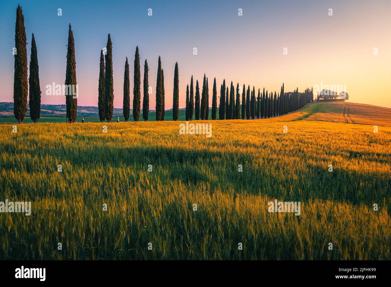 House on the hill and rural road decorated with cypresses trees in row. Wonderful tuscan countryside scenery with grain fields at sunrise, Tuscany, It Stock Photo