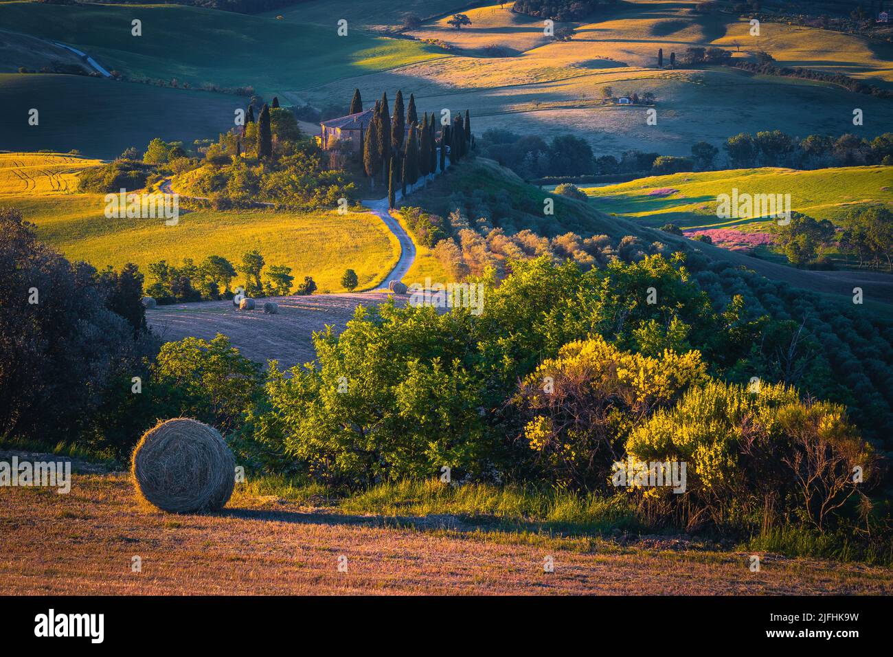 Stunning rural dawn scenery with hay bale on the slope. Olive plantation and countryside landscape at sunrise in Tuscany, Italy, Europe Stock Photo