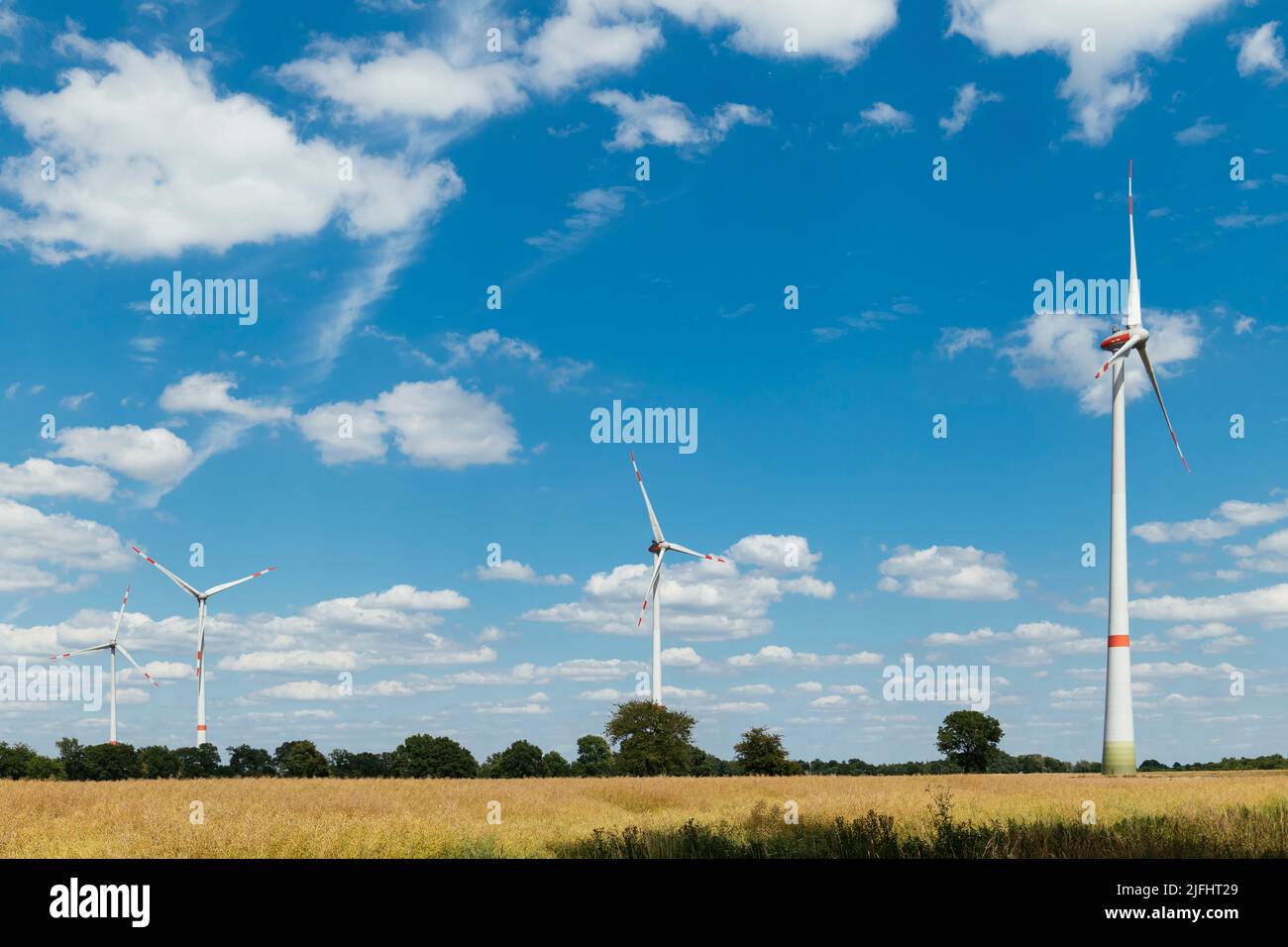 Windpark near Petershagen-Schlüsselburg with 4 3200kW turbines. Stock Photo