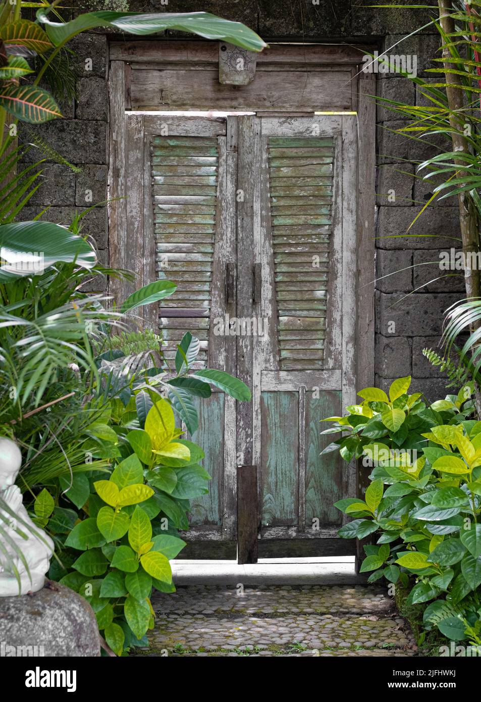 Old gray Balinese wooden doors with slats and patina blue panels and shutter slats. Tropical plants on both sides of doors. Stock Photo