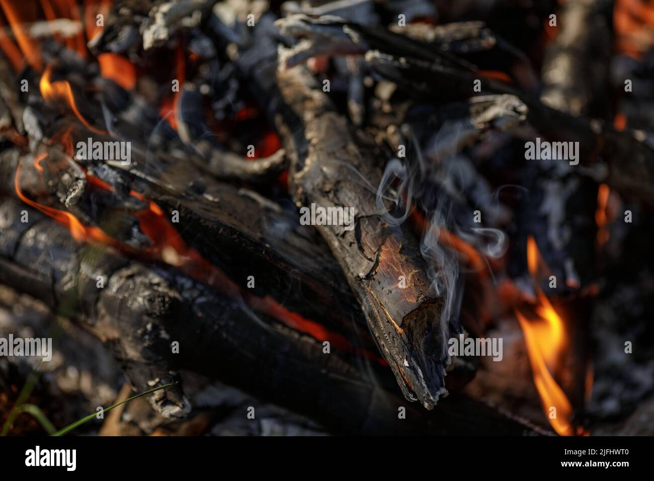 Close up of burning timber bonfire in summer forest. The concept of ...
