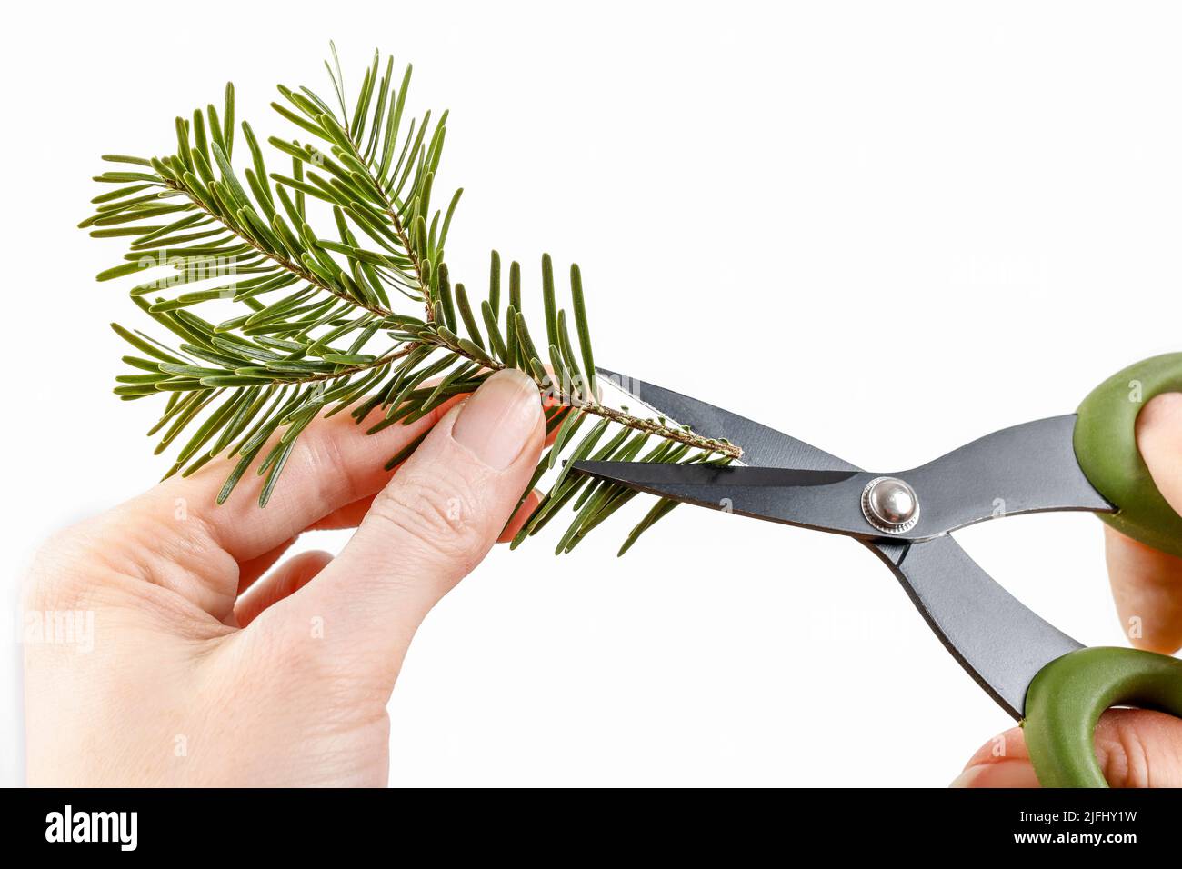 How to make christmas floral arrangement with carnations, chrysanthemum