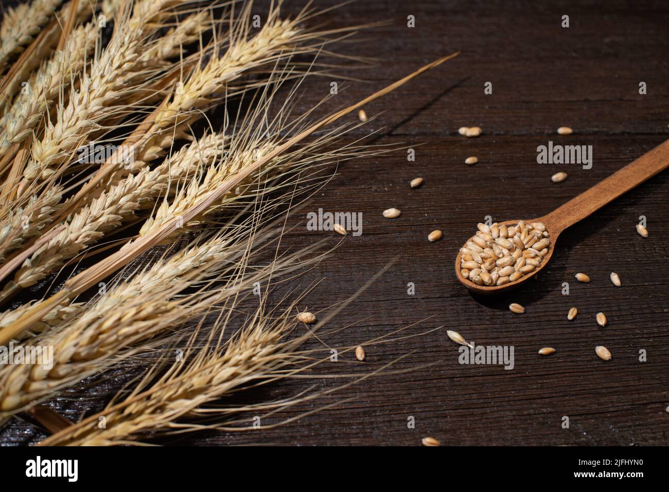 Grain of wheat and spikelets in the composition with kitchen utensils