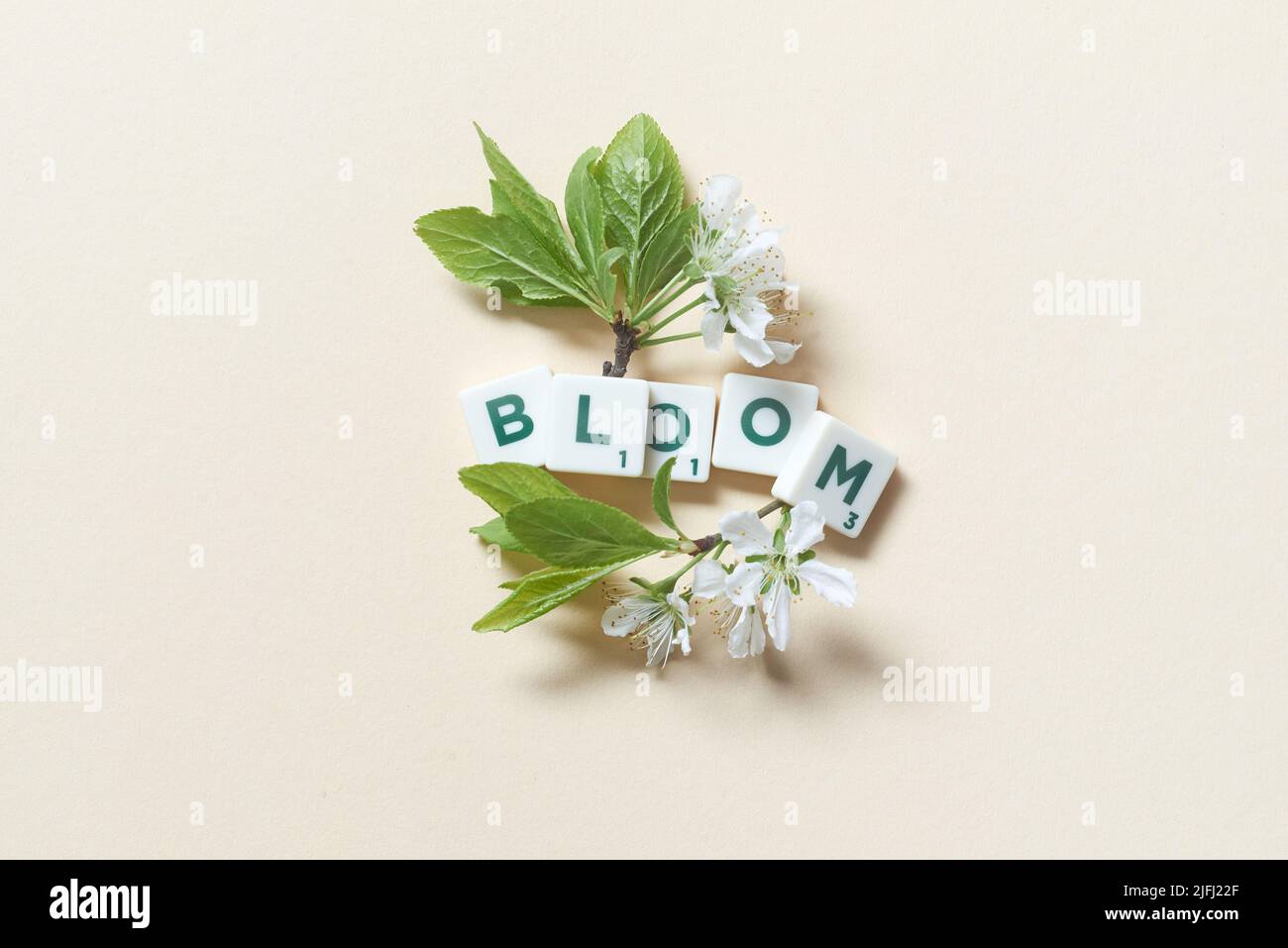 Scrabble tiles with spring bloom on beige background Stock Photo Alamy
