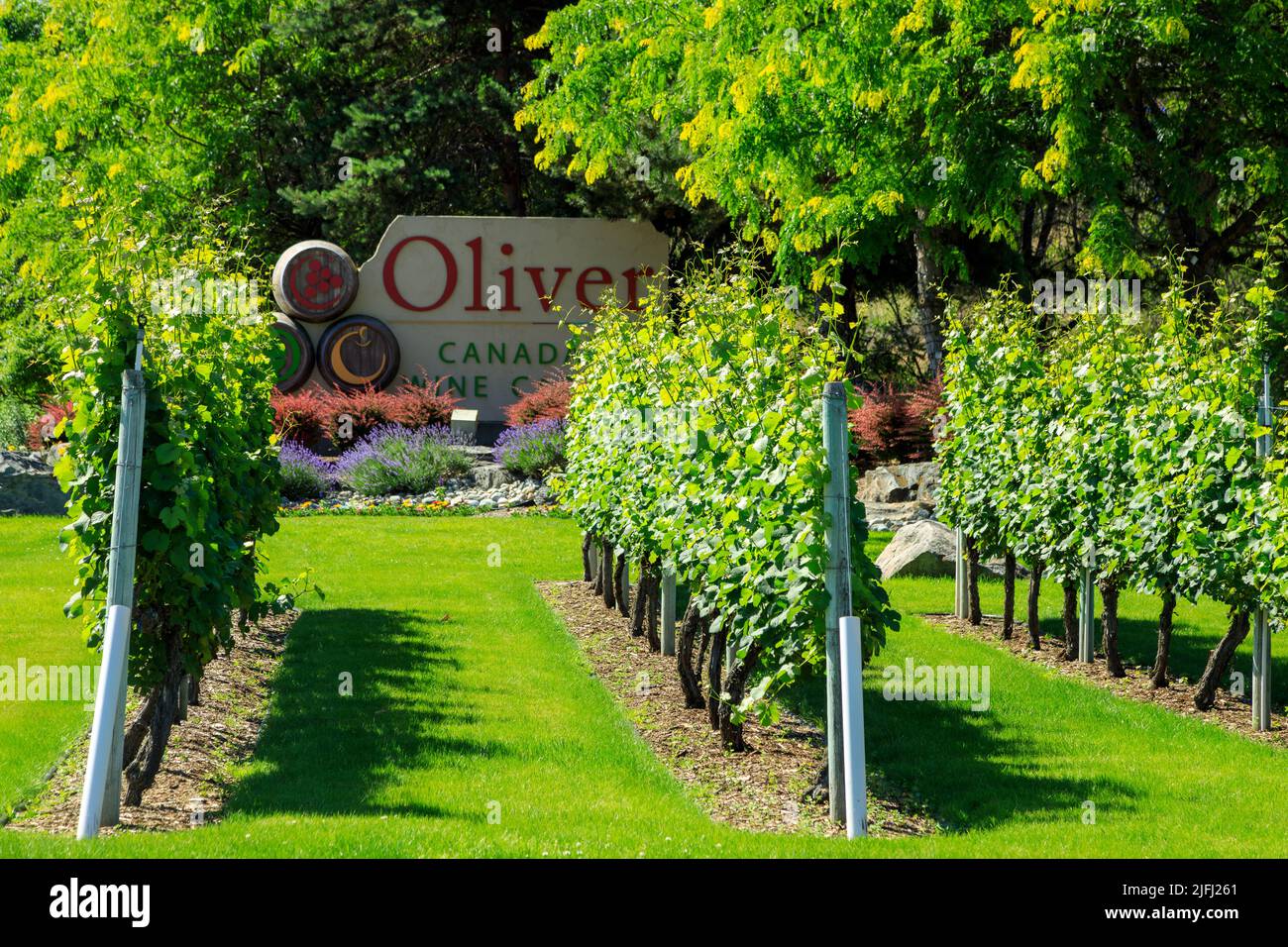 Canadas wine capital hires stock photography and images Alamy
