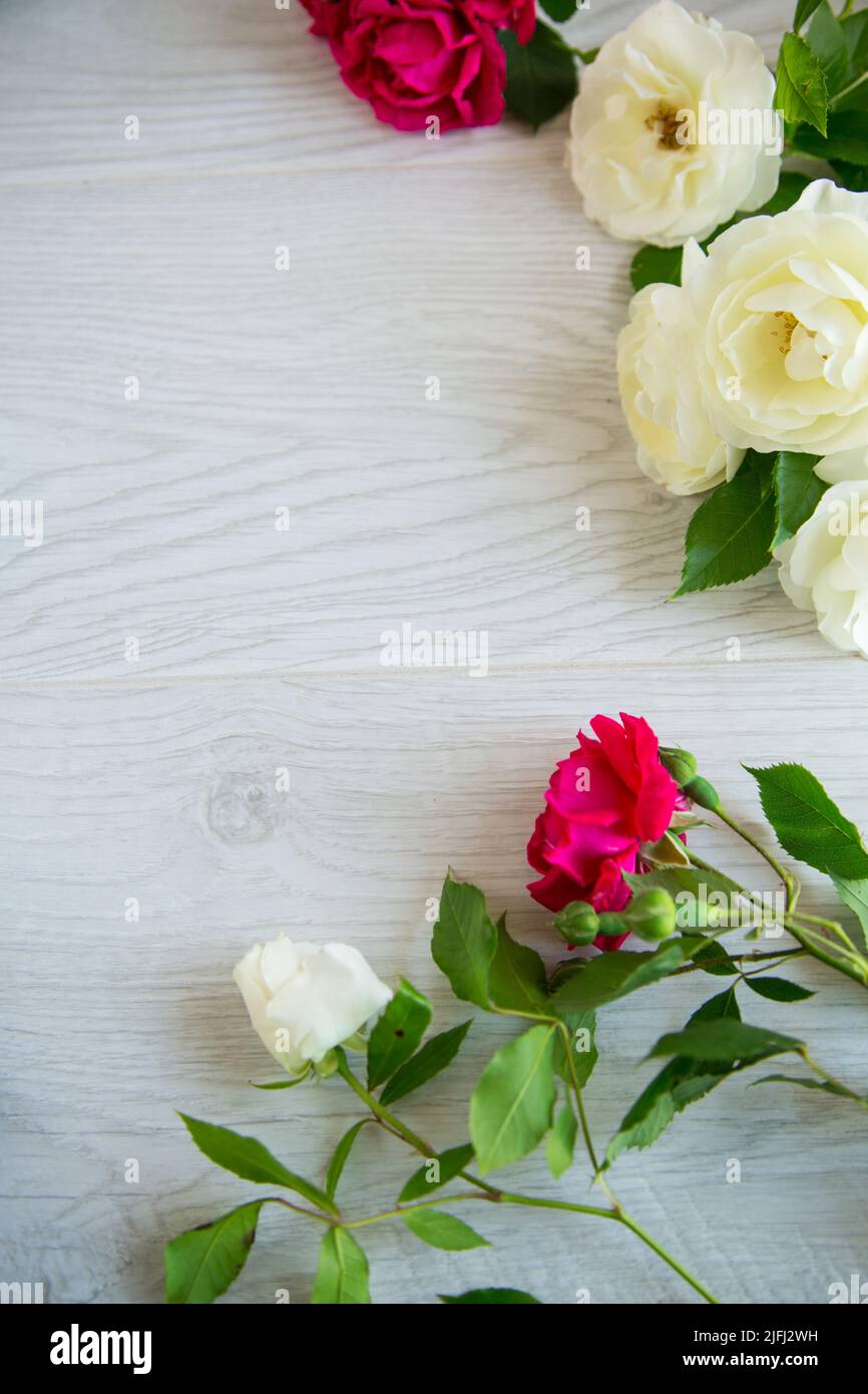 beautiful background of many red roses on a light wooden Stock Photo ...