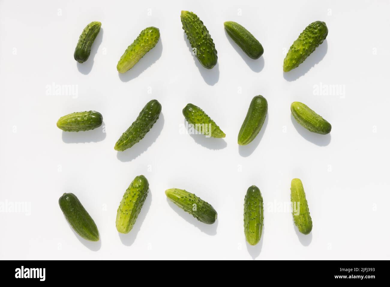 cucumbers with shadow lie on a white background Stock Photo