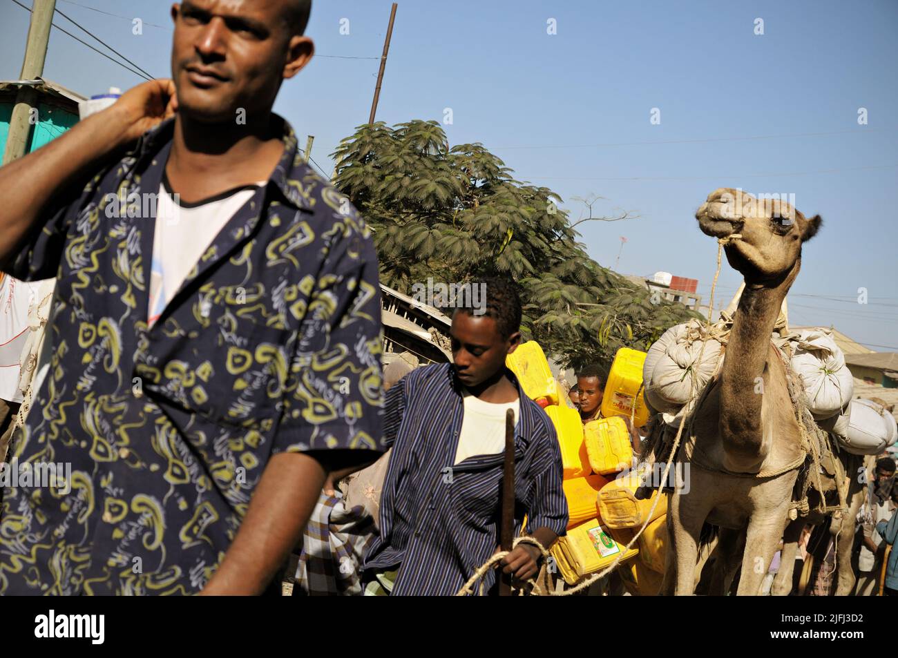 People and camel walking in a street at Bati market, Amhara Region, Ethiopia Stock Photo