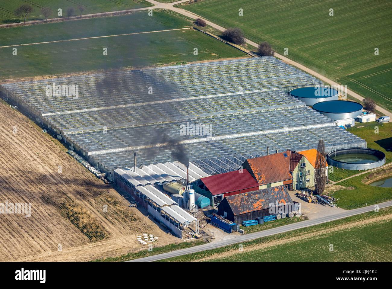 Aerial view, agricultural company Gartenbau Stemann, Werl, Soester Börde, smoke, fumes, pollution, chimney, North Rhine-Westphalia, Germany, DE, Europ Stock Photo