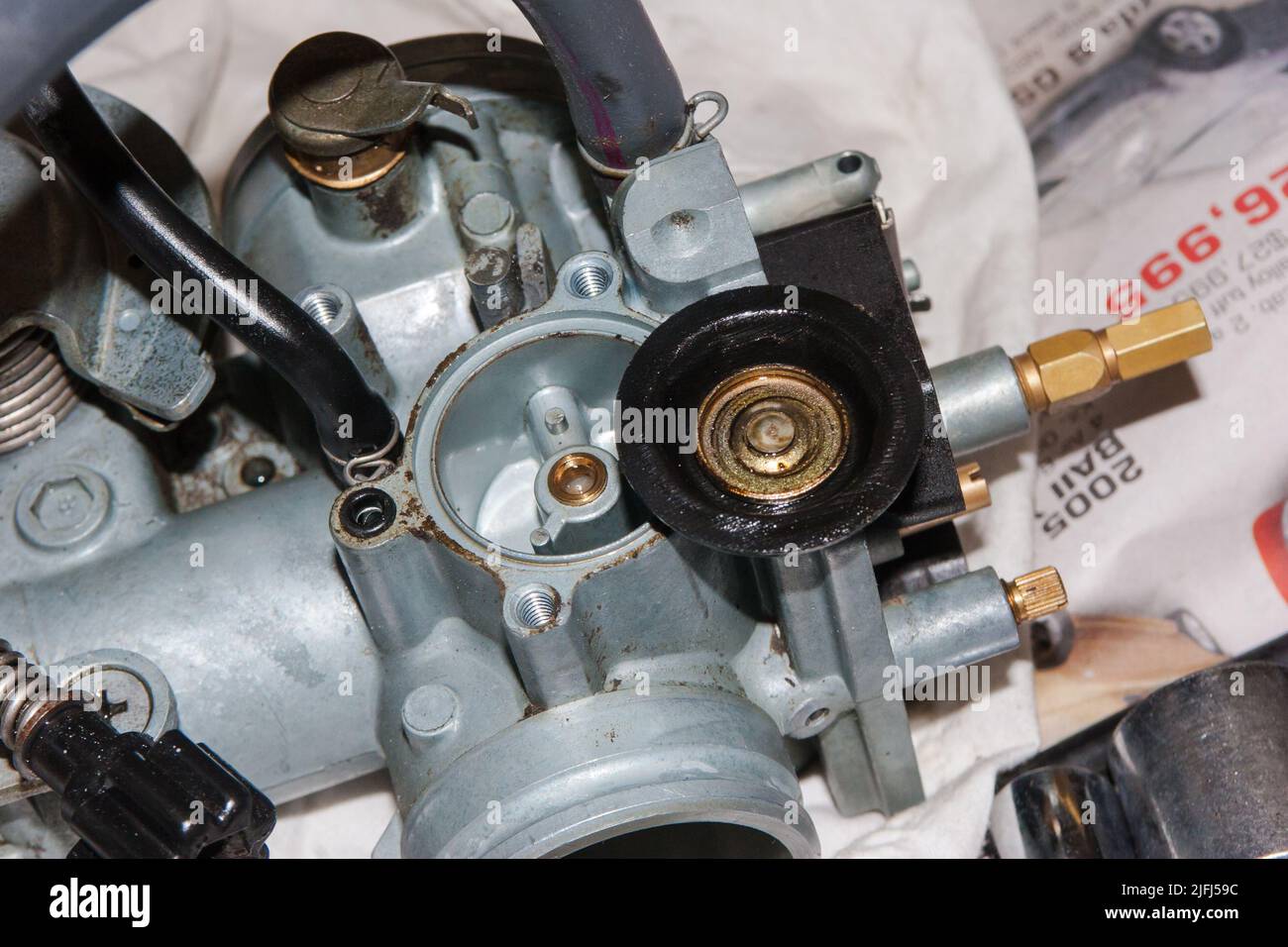 Life in New Zealand. Fishing, foraging, diving, gardening and sports