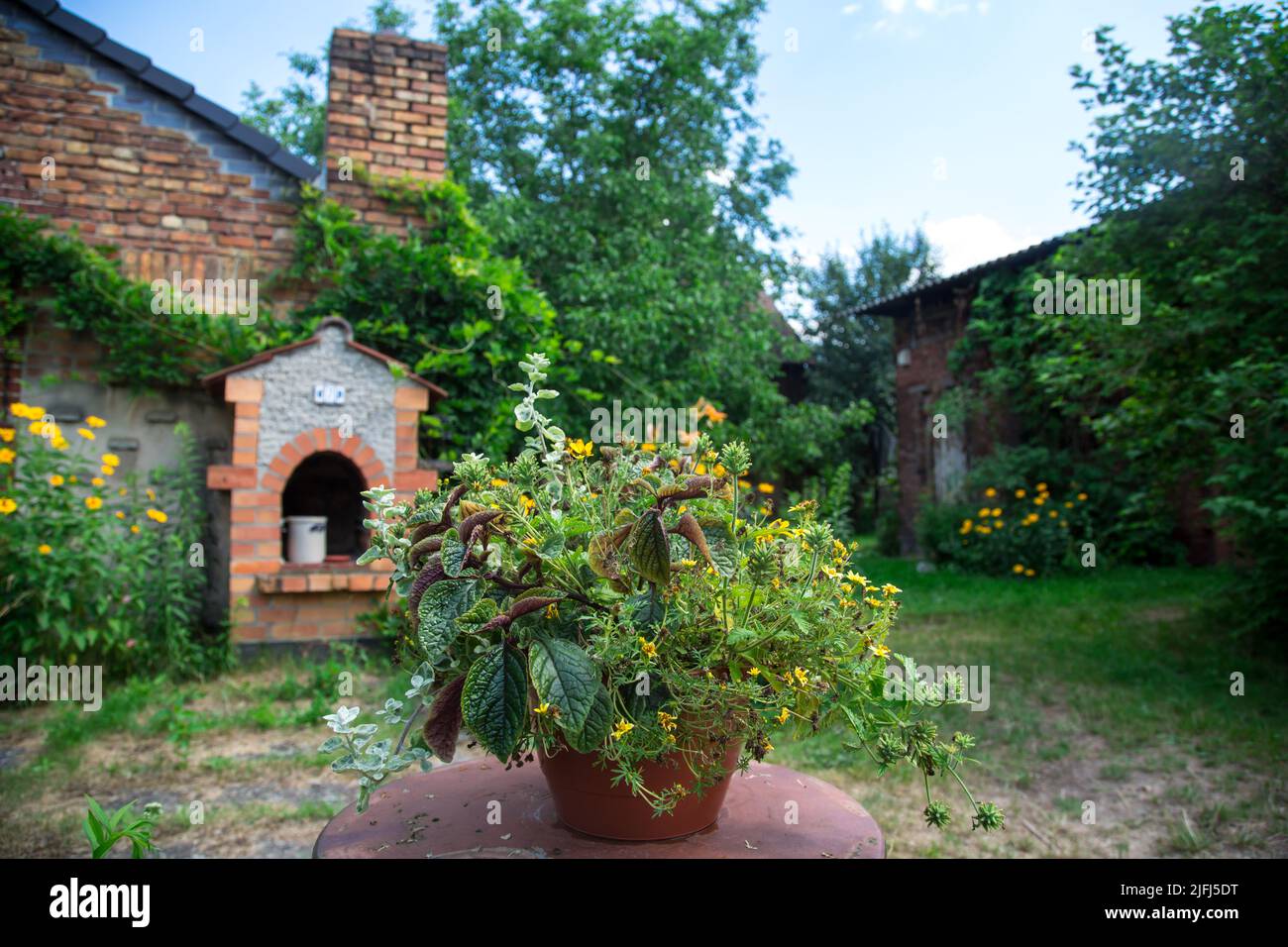 Old red brick house, Lusatia, Germany Stock Photo
