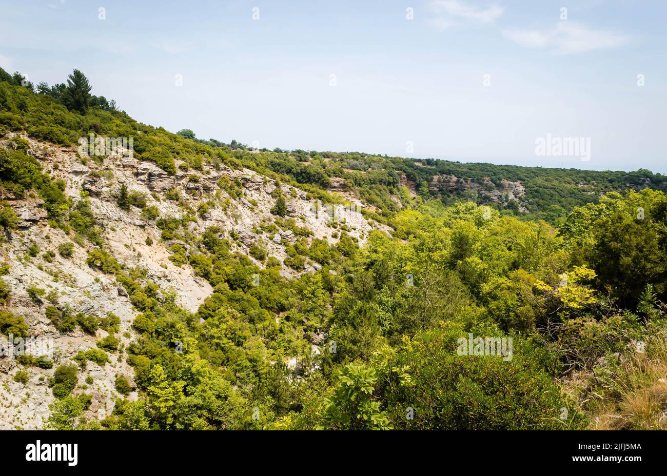 A landscape of plant-covered Canyon on a sunny day - located on the ...