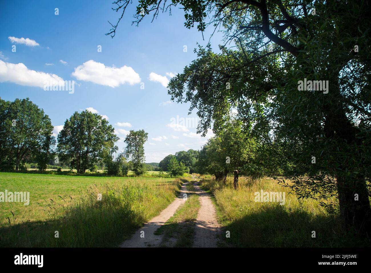 Landscape and path in Siedlec/ Trzebiel, Poland Stock Photo