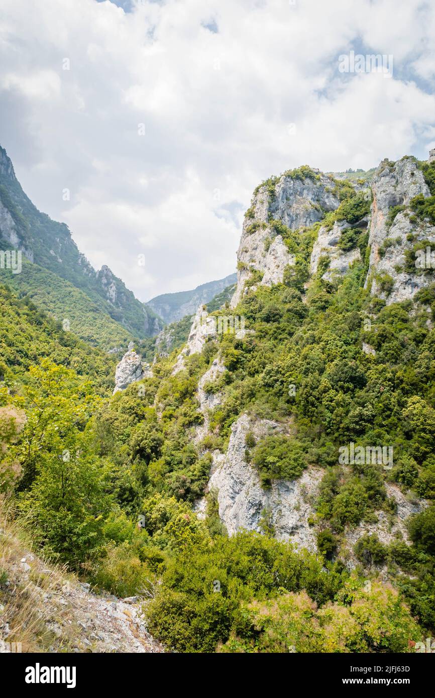A vertical view of plant-covered Canyons on a cloudy day -the eastern ...
