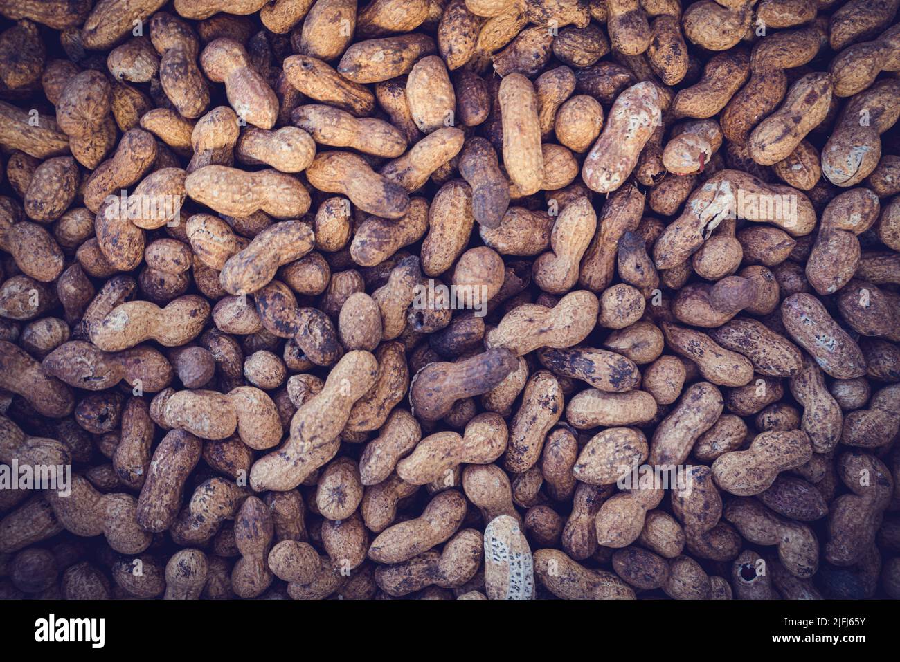 Peanut Background Texture. Roasted Peanuts Stock Photo
