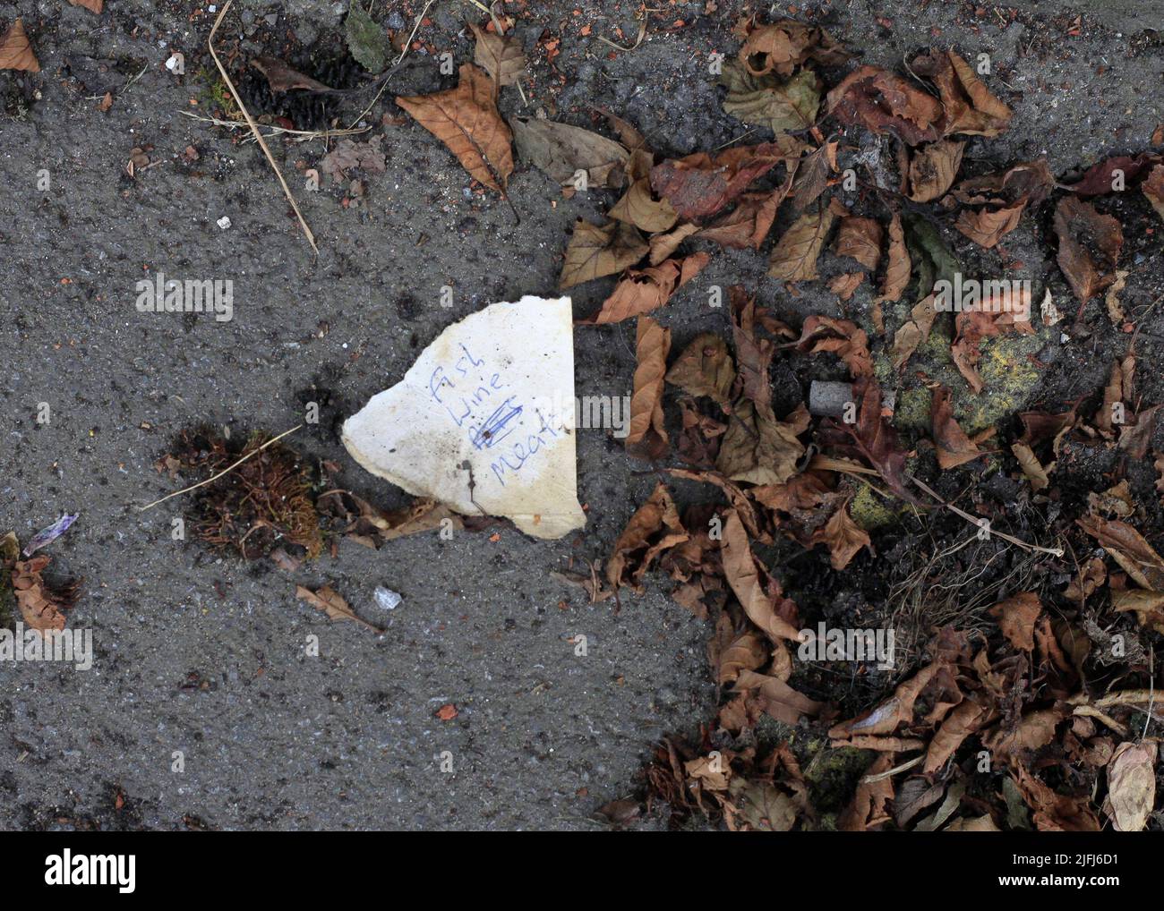 A dropped shopping list meat fish wine on the pavement amongst fallen leaves Stock Photo