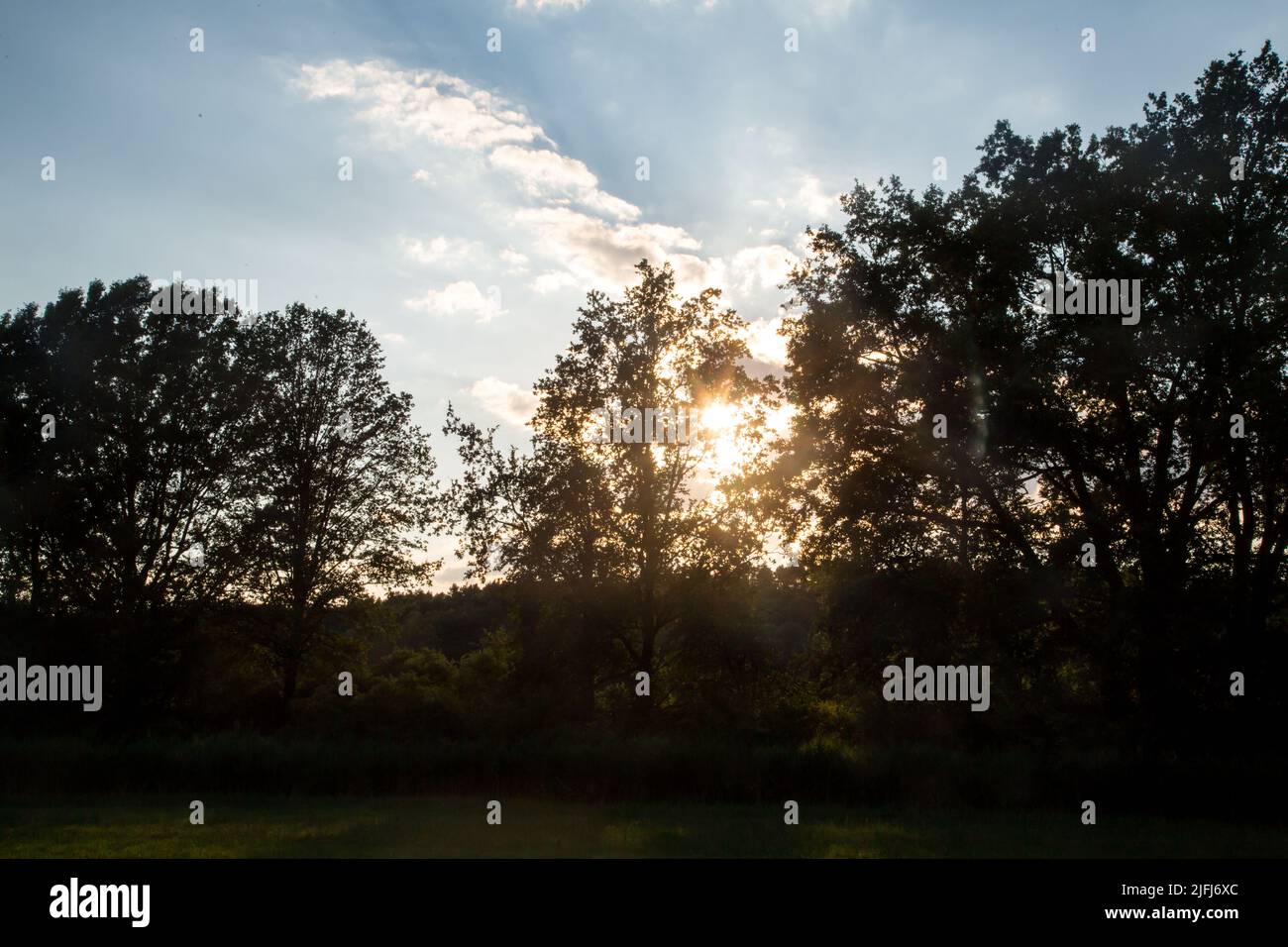 Sunset at the Oder-Neisse Cycle Route, Lausitz, Brandenburg, Germany Stock Photo