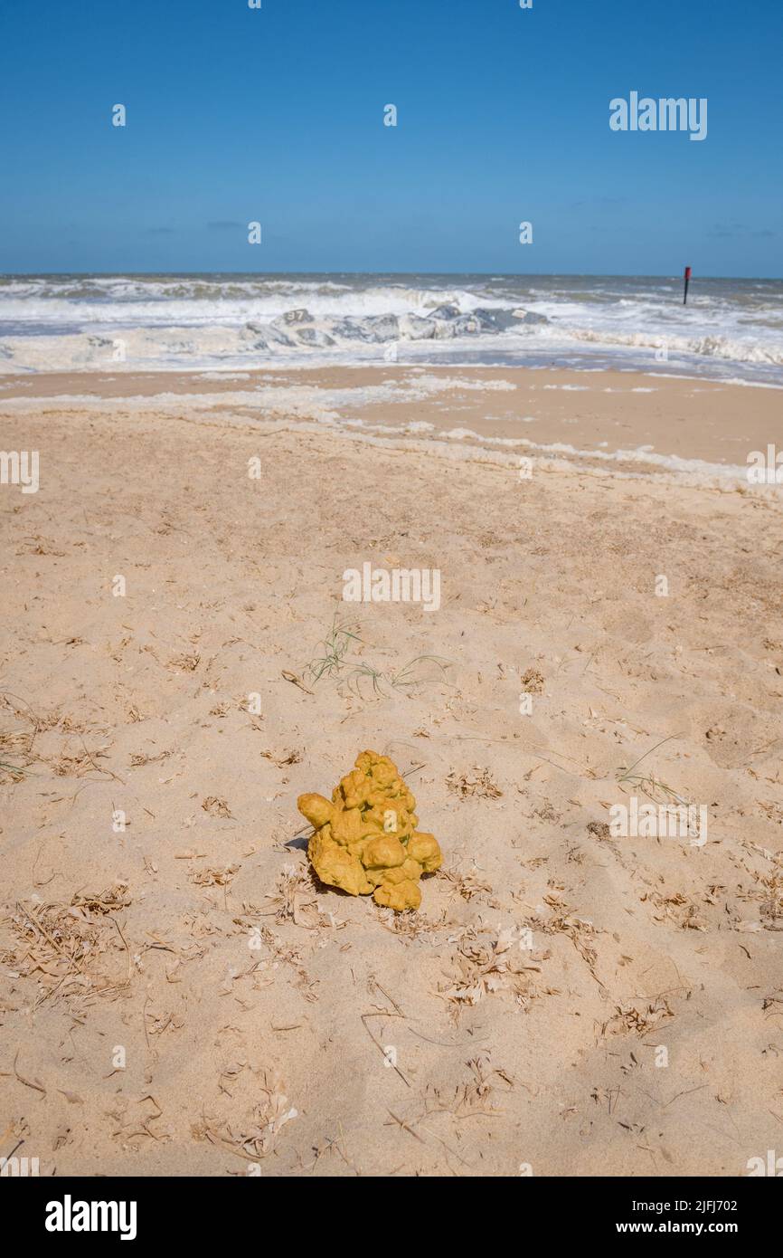 Large piece of expansion foam on the beach at Horsey, Norfolk. Stock Photo