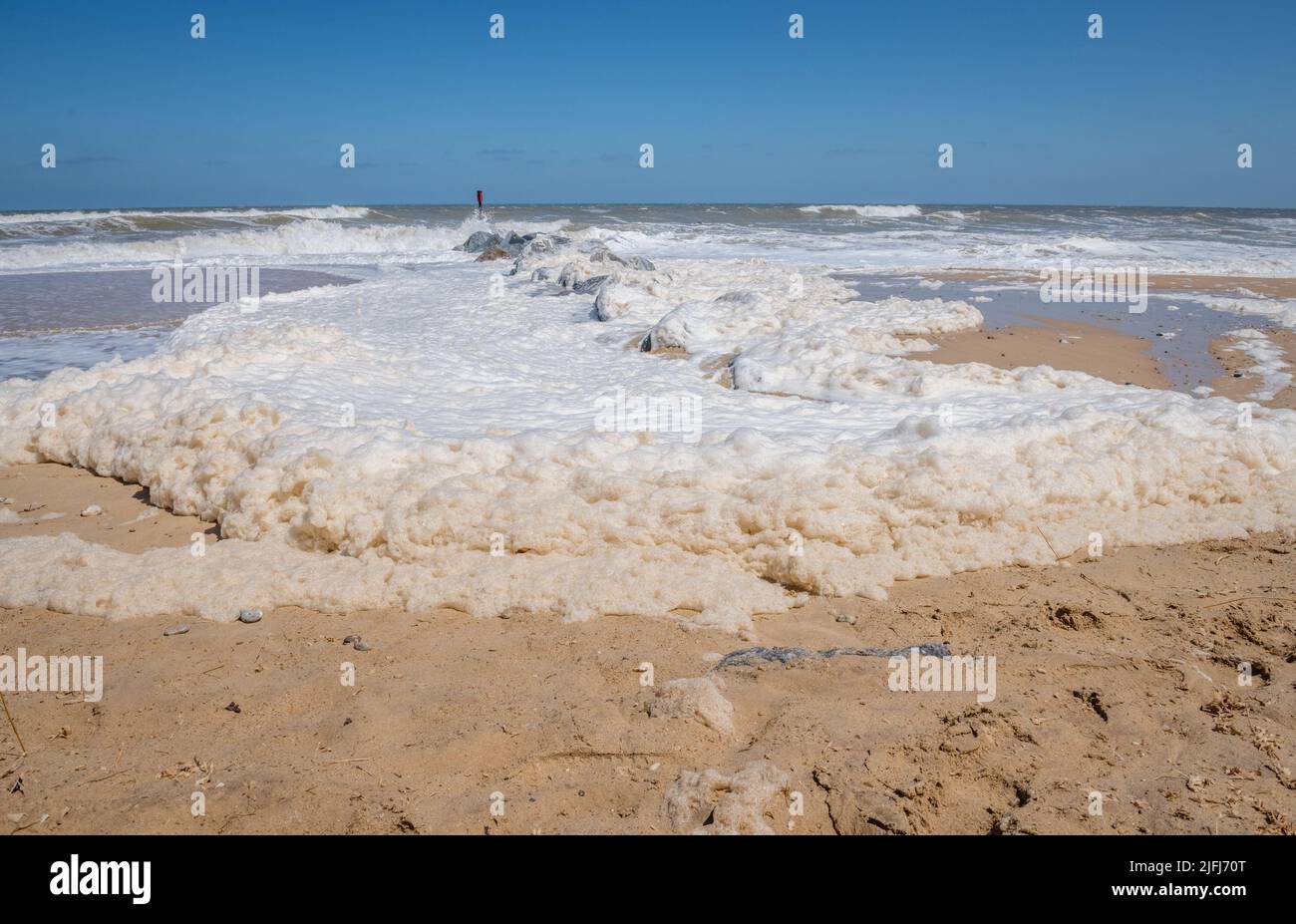 Sea foam, ocean foam, beach foam, or spume is a type of foam created by the agitation of seawater, on the beach at Horsey, Norfolk, England. Stock Photo